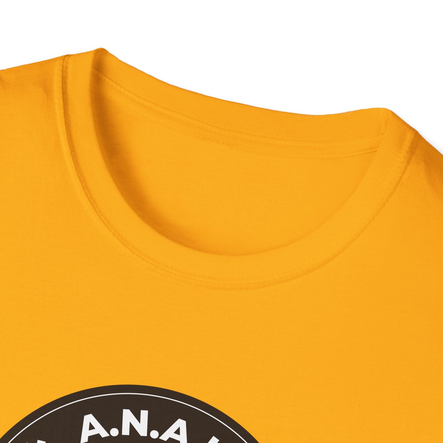 All Nazis Are Losers A.N.A.L. T-shirt