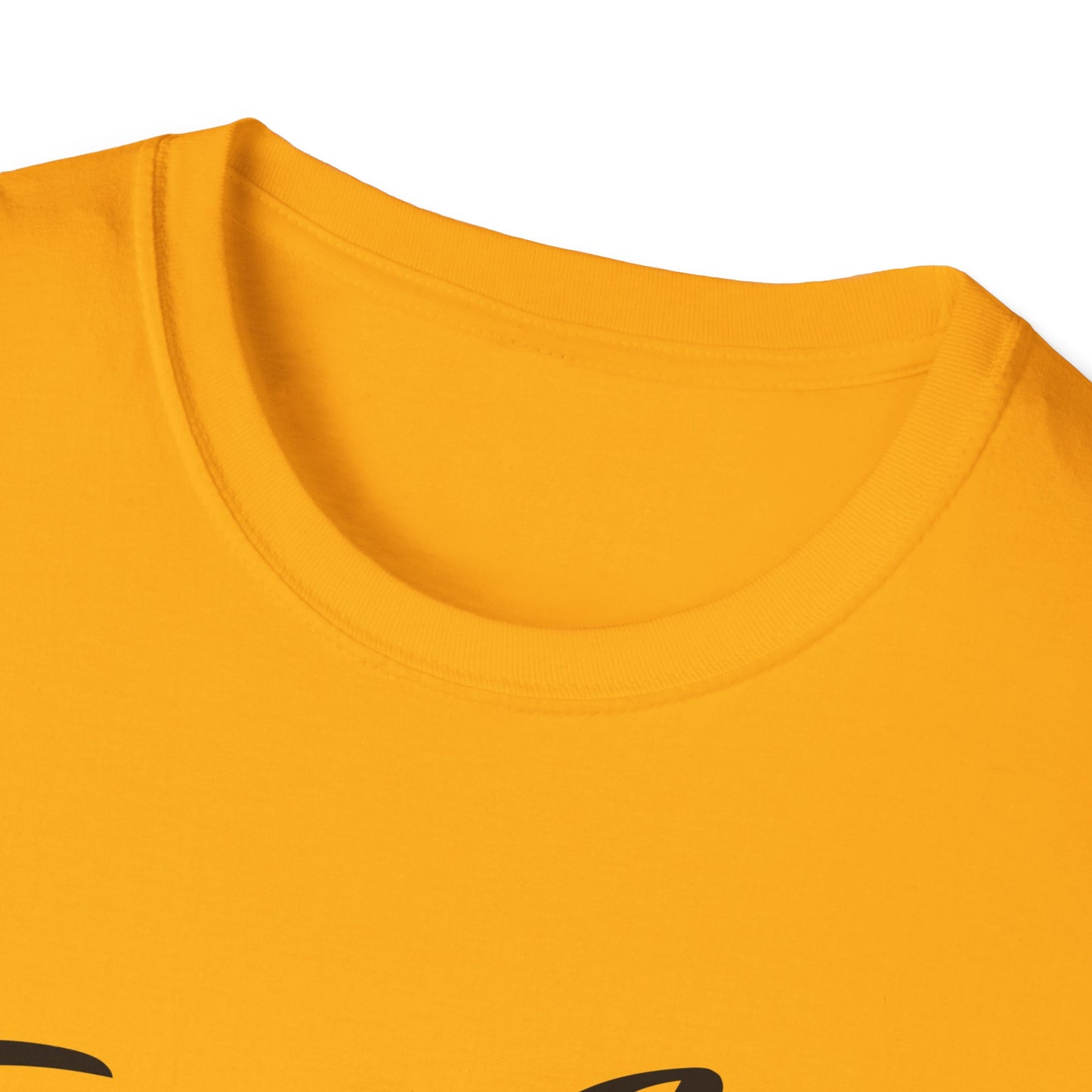 Fuck Ice I Aint No Snitch T-shirt