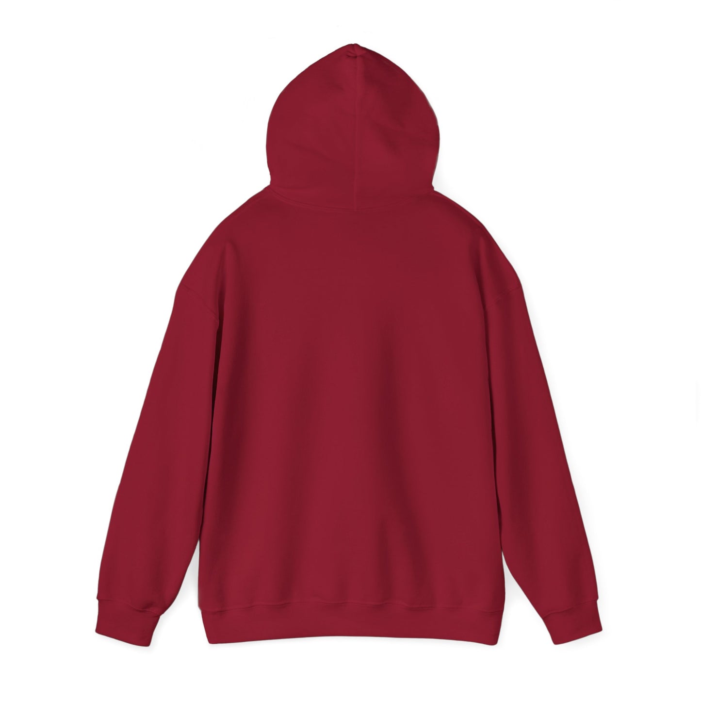 Hoodie - Democracy Is Not For Sale - Free Oppression