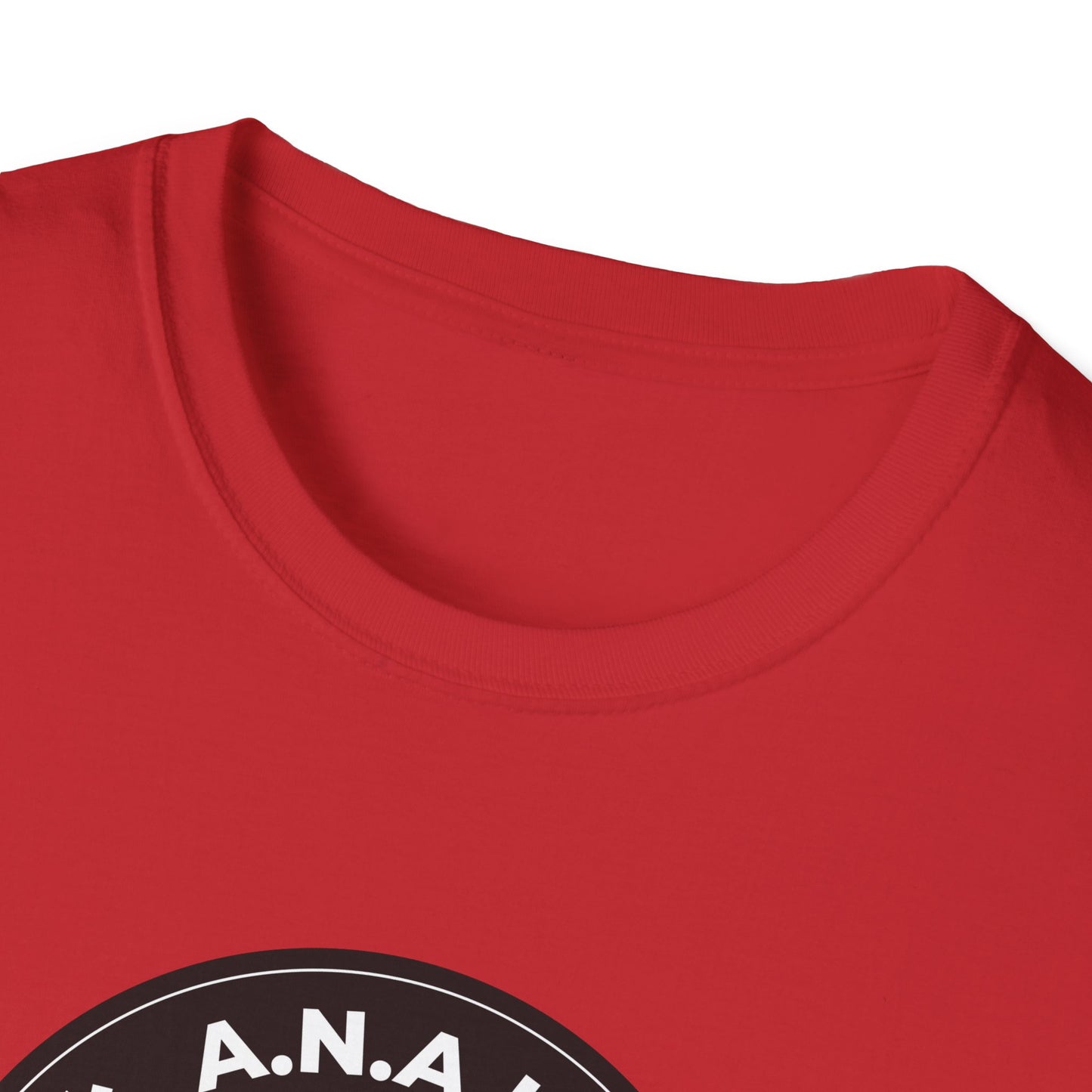 All Nazis Are Losers A.N.A.L. T-shirt
