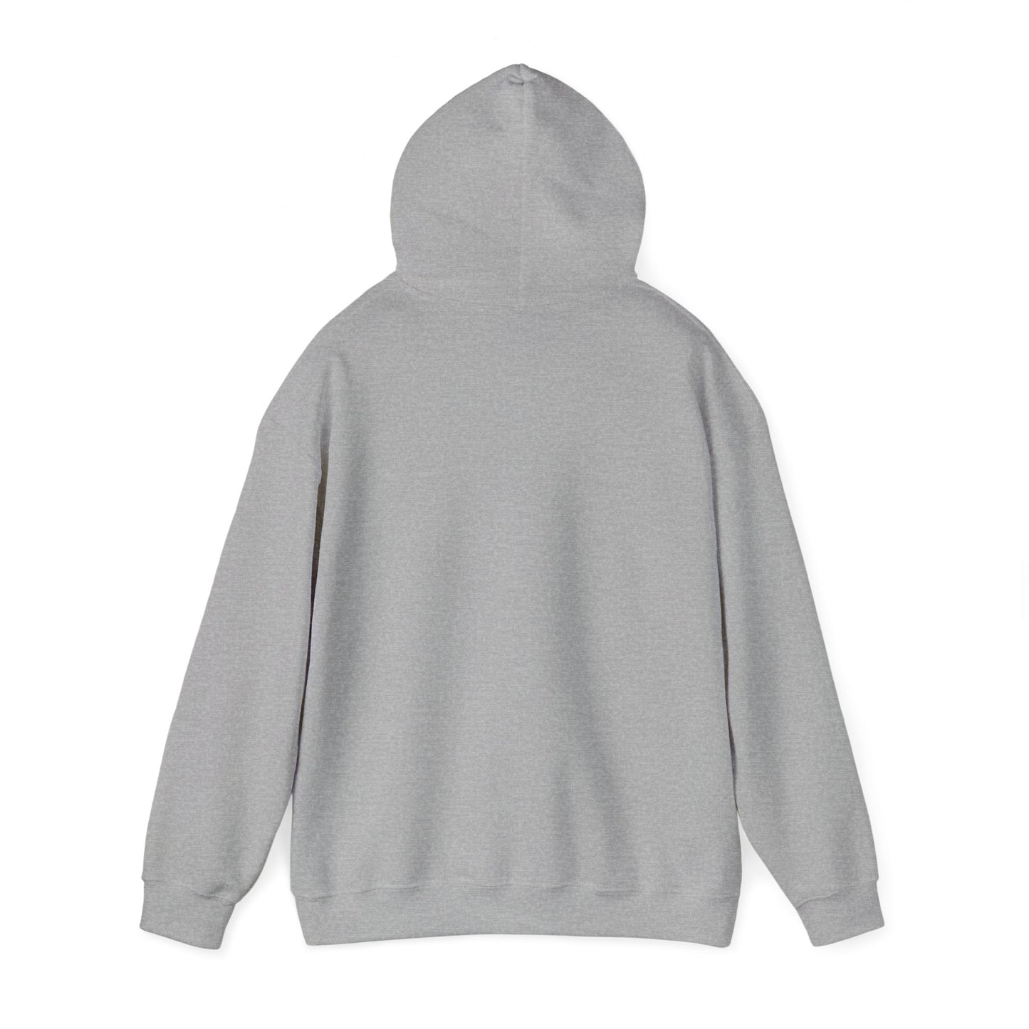 Hoodie - Democracy Is Not For Sale - Free Oppression