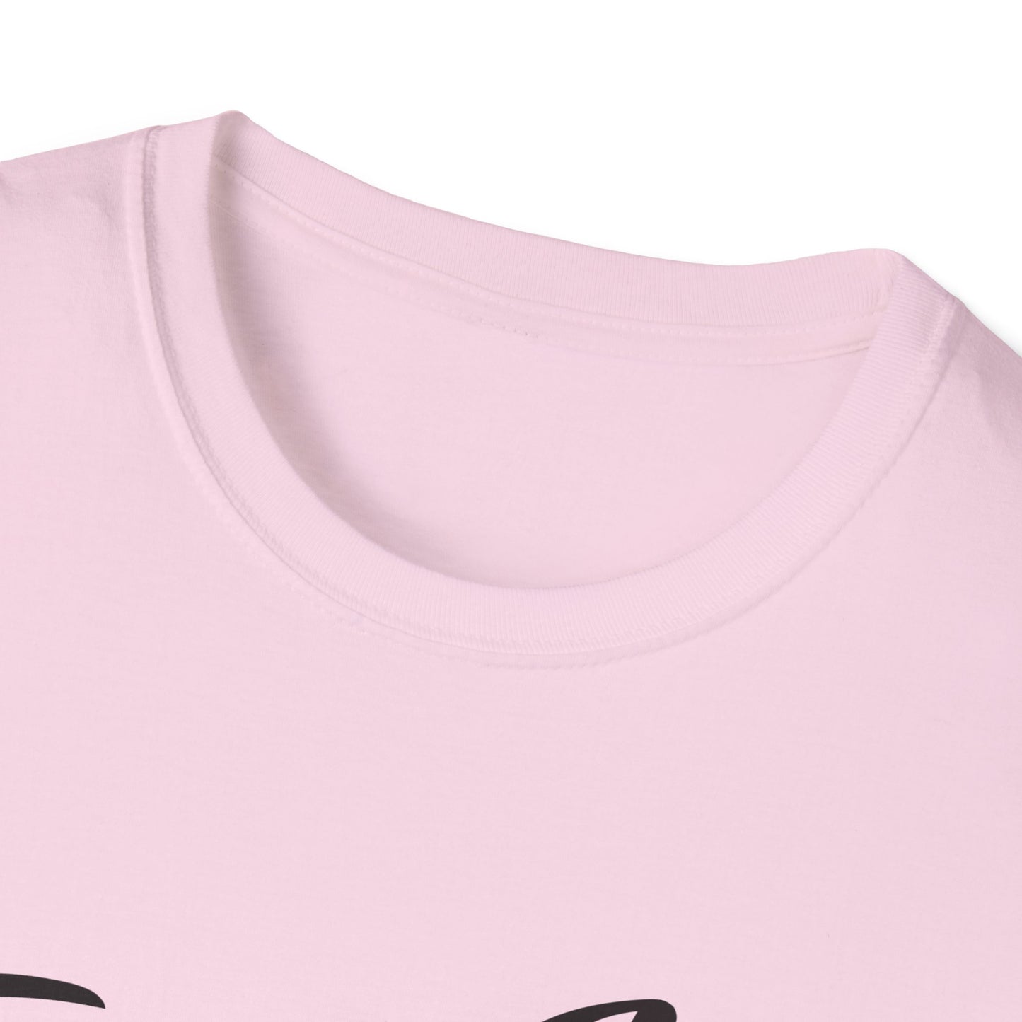 Fuck Ice I Aint No Snitch T-shirt