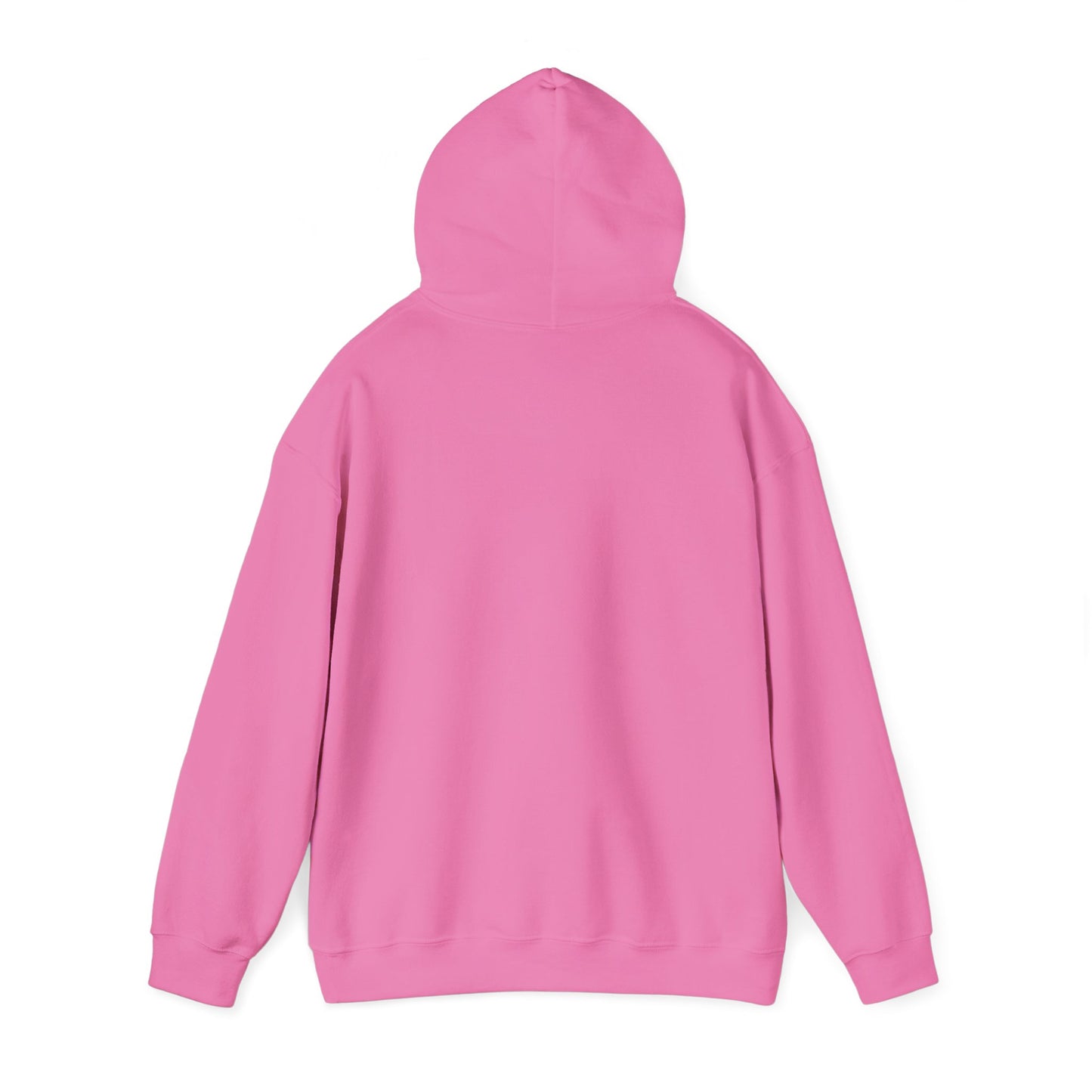 Sweat à capuche anti-nazi – Sweat-shirt unisexe de protestation antifasciste – Vêtements pour militants pro-démocratie pour les droits civiques et les mouvements politiques