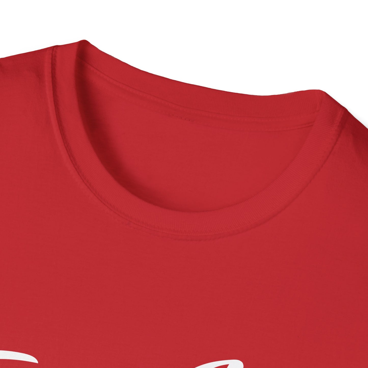 Fuck Ice I Aint No Snitch T-shirt