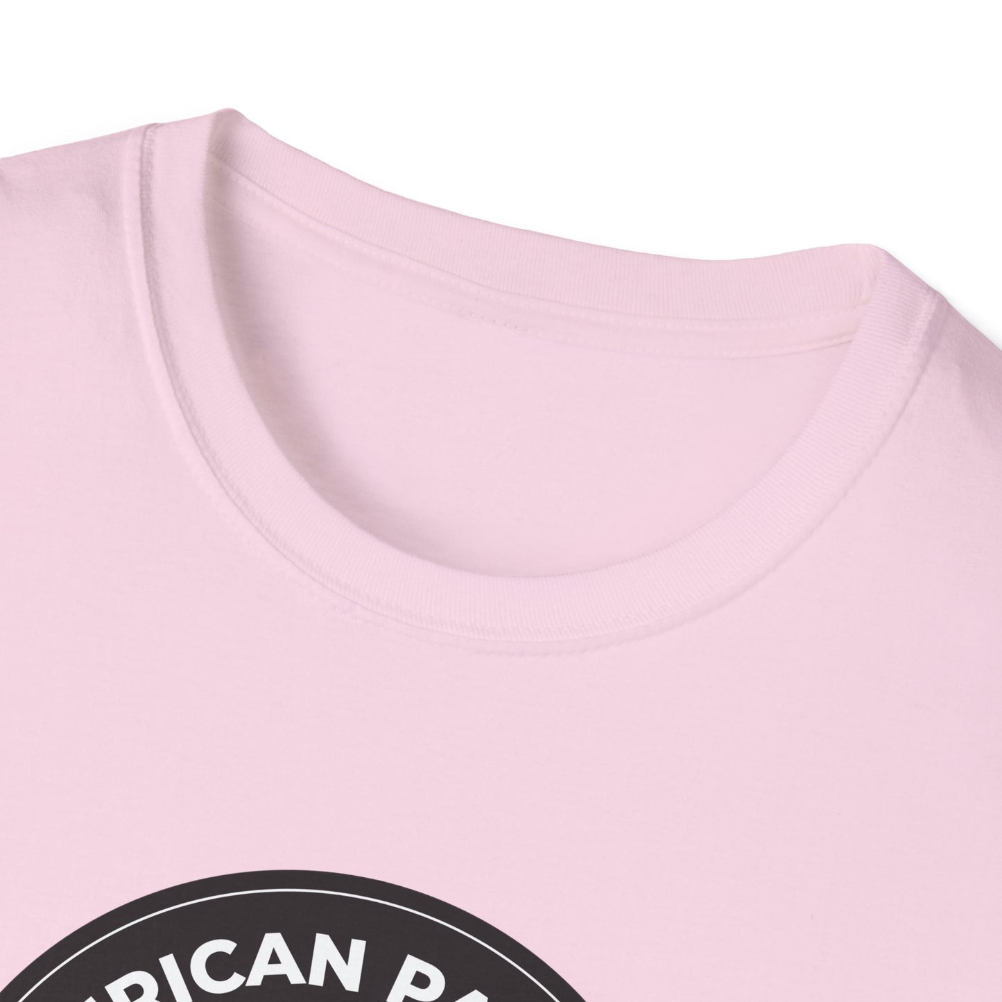 American Patriots Against Nazis T-shirt