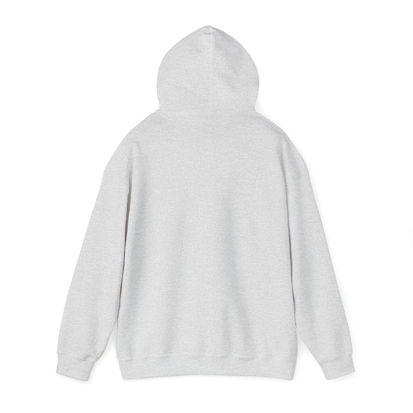 Hoodie - Democracy Is Not For Sale - Free Oppression