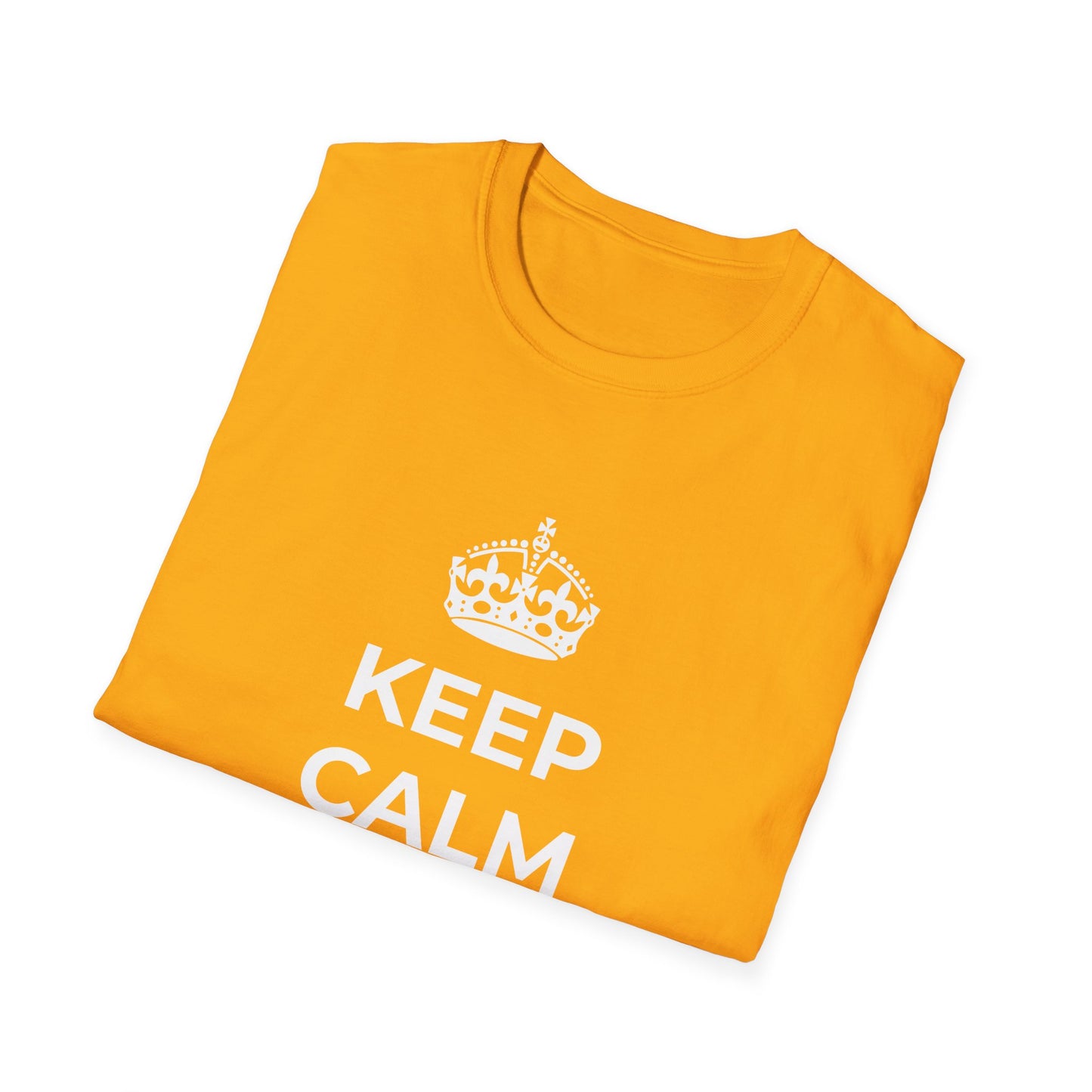Keep Calm And Fight Fascism - T-Shirt