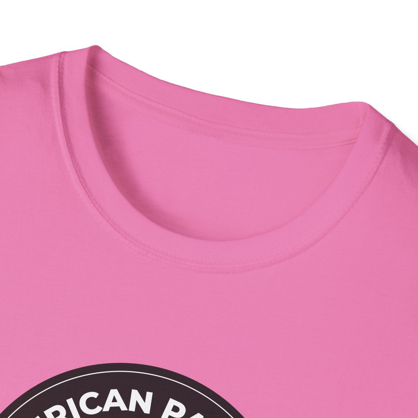 American Patriots Against Nazis T-shirt