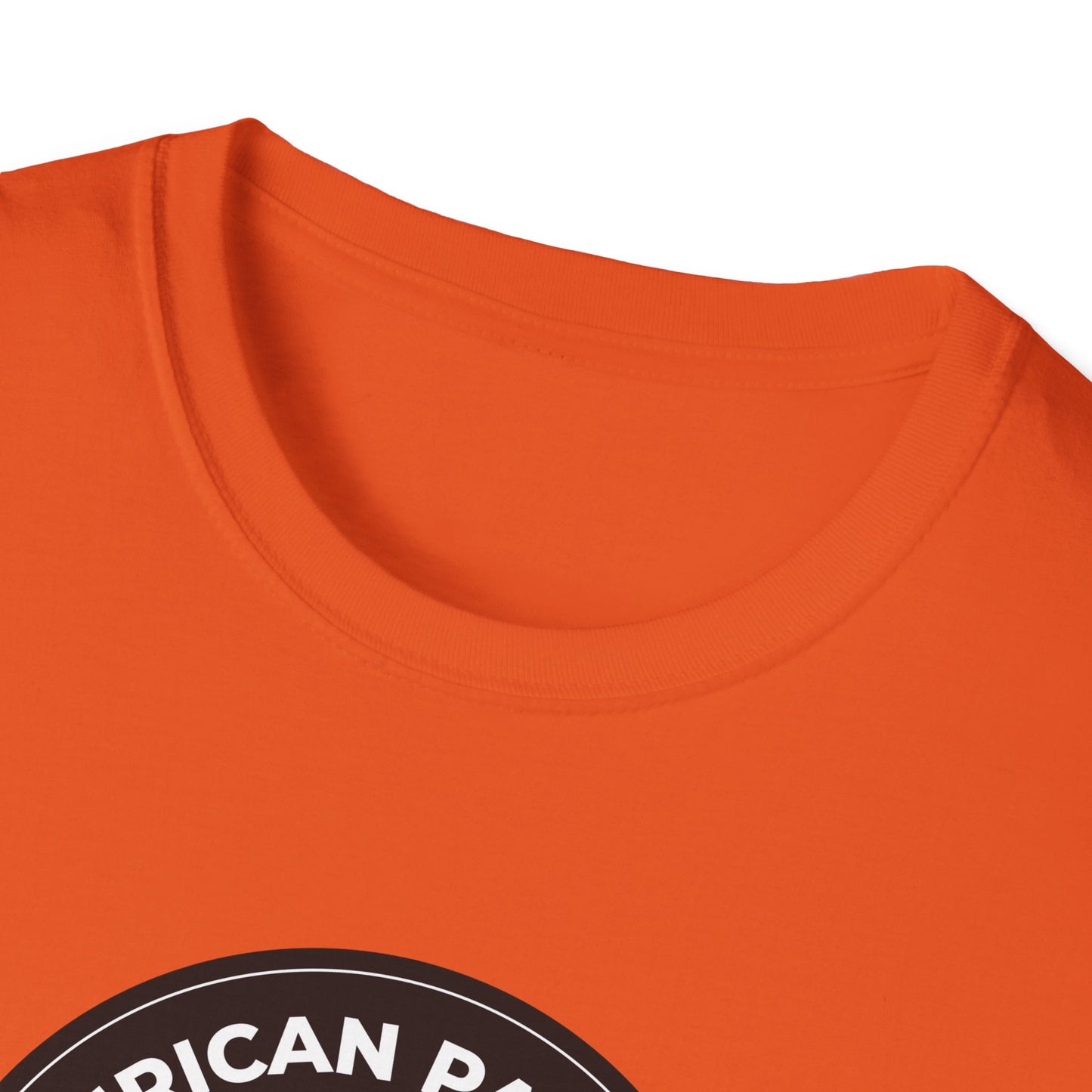 American Patriots Against Nazis T-shirt