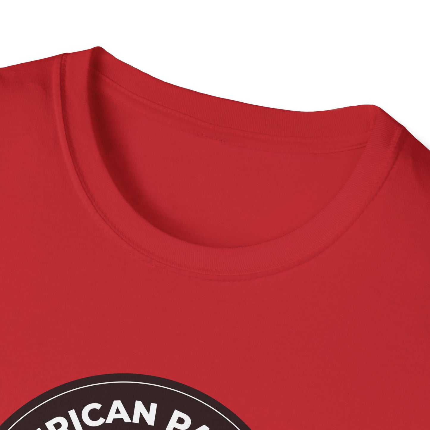 American Patriots Against Nazis T-shirt