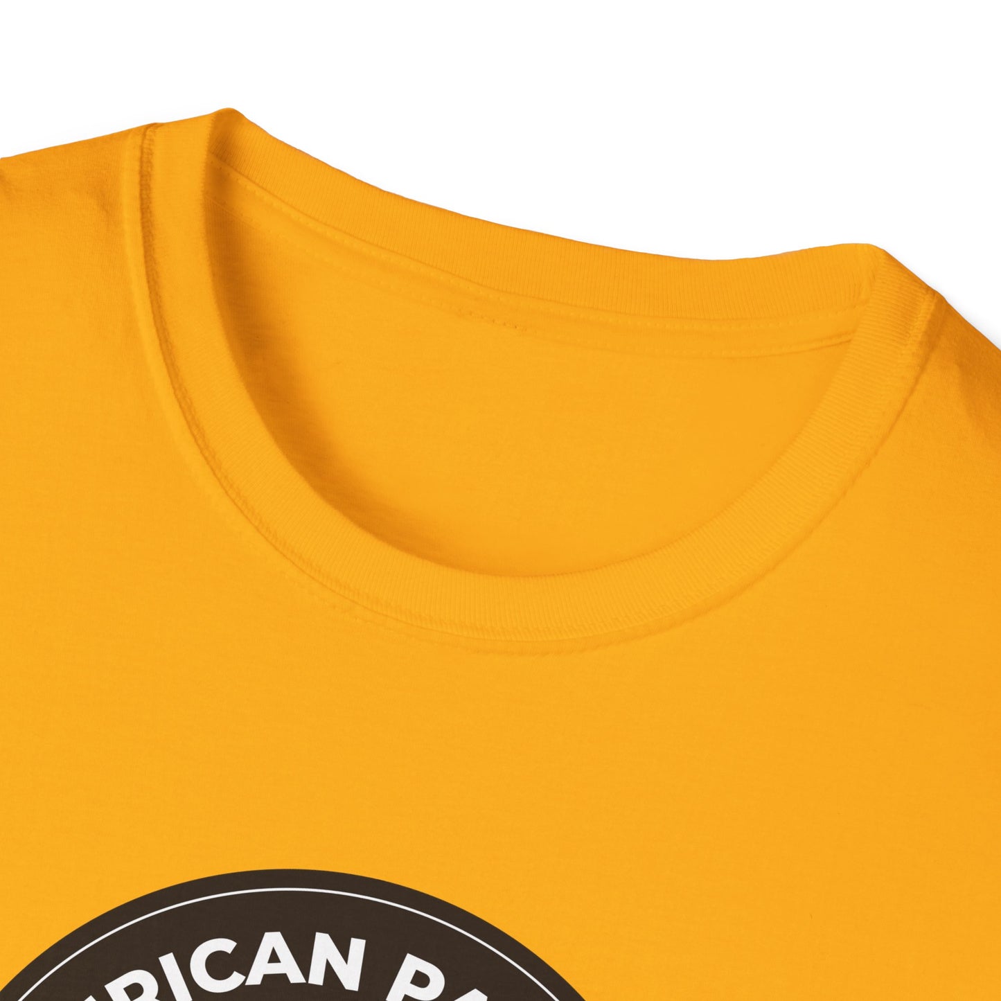 American Patriots Against Nazis T-shirt