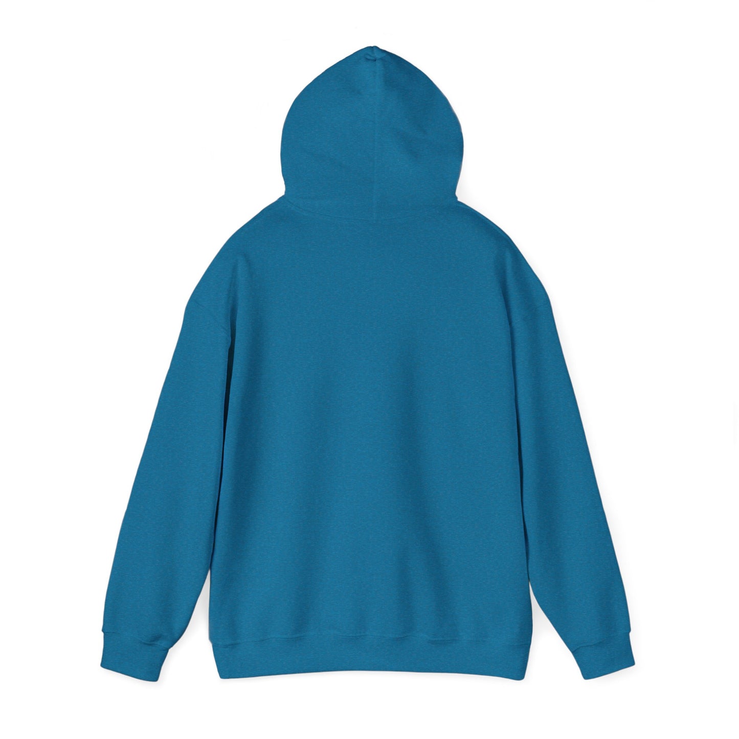 Hoodie - Democracy Is Not For Sale - Free Oppression
