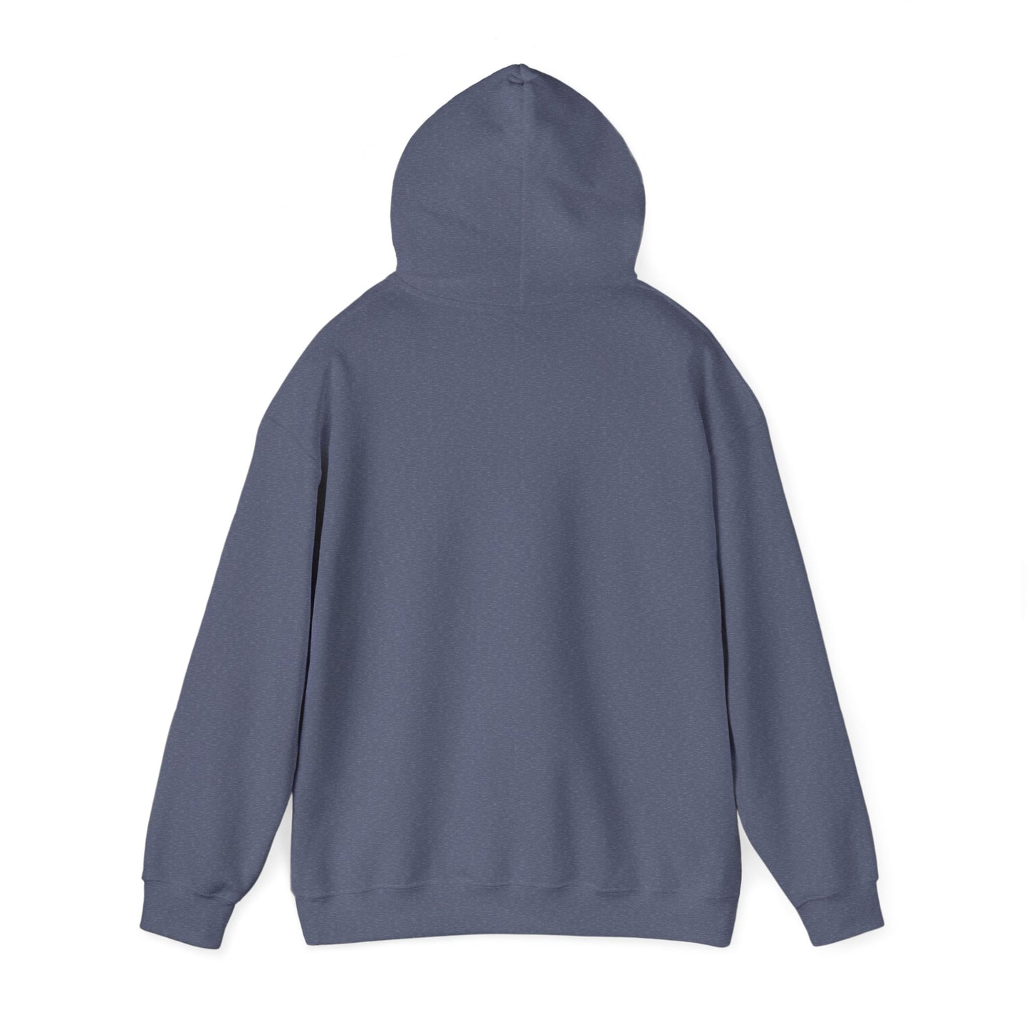 Hoodie - Democracy Is Not For Sale - Free Oppression