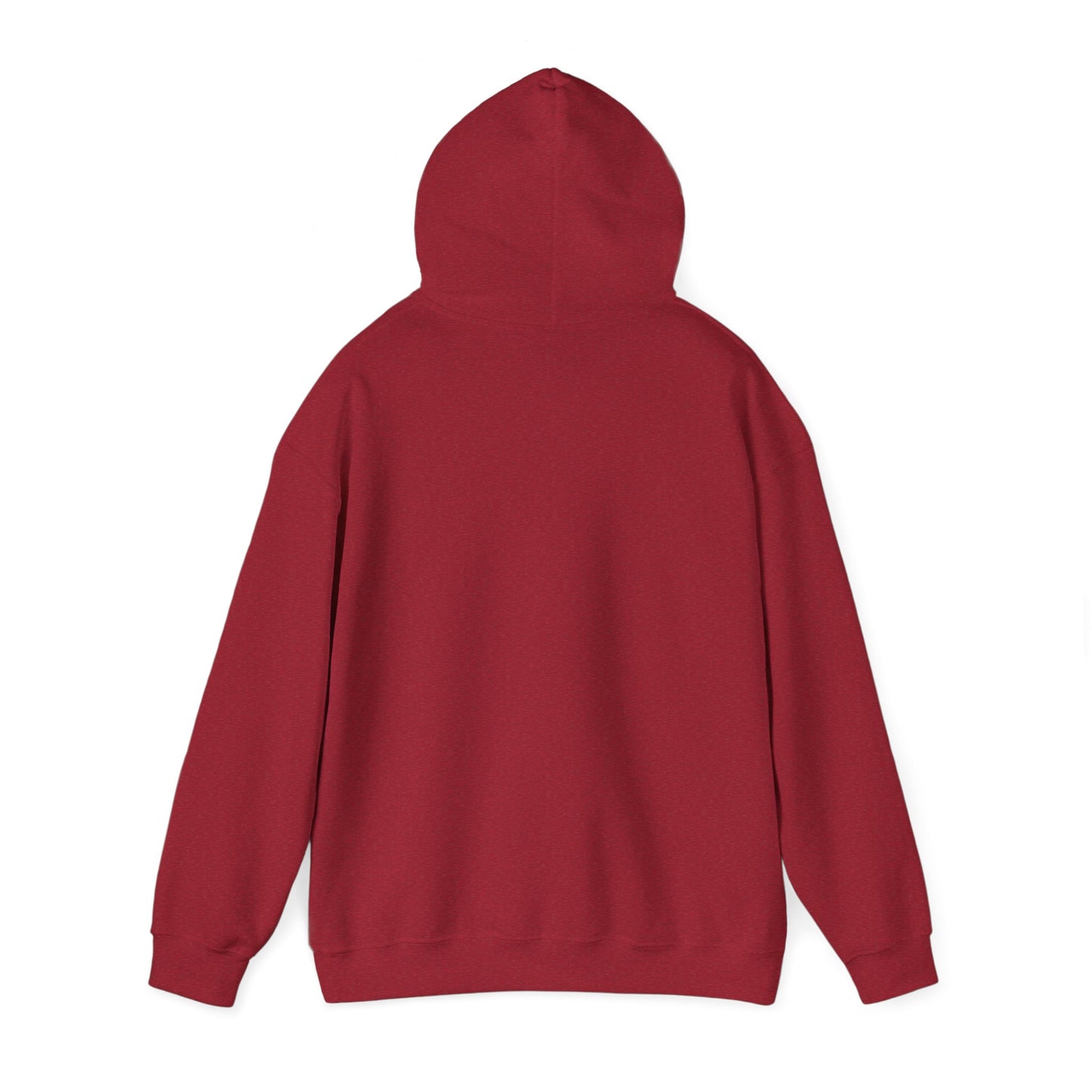 Hoodie - Democracy Is Not For Sale - Free Oppression