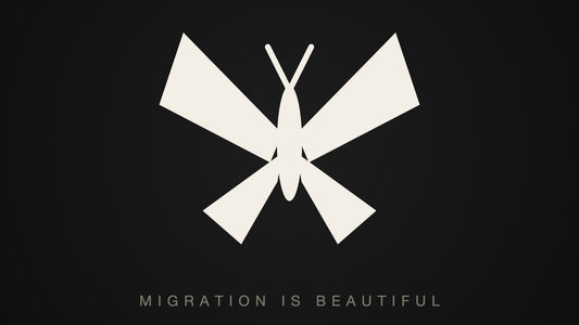A monarch butterfly in flat off-white on black — the immigrant-rights symbol: migration is beautiful