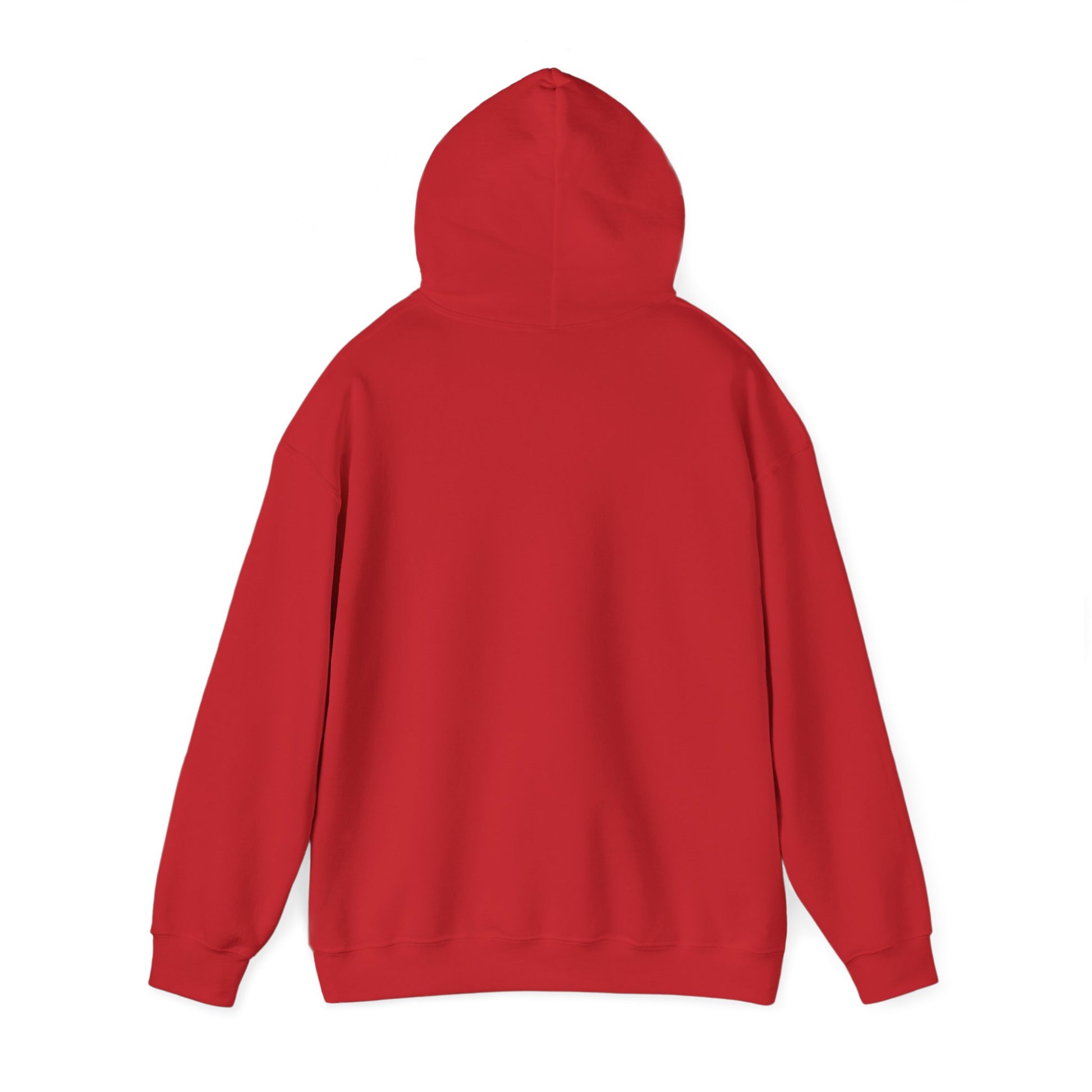 Hoodie - Democracy Is Not For Sale - Free Oppression