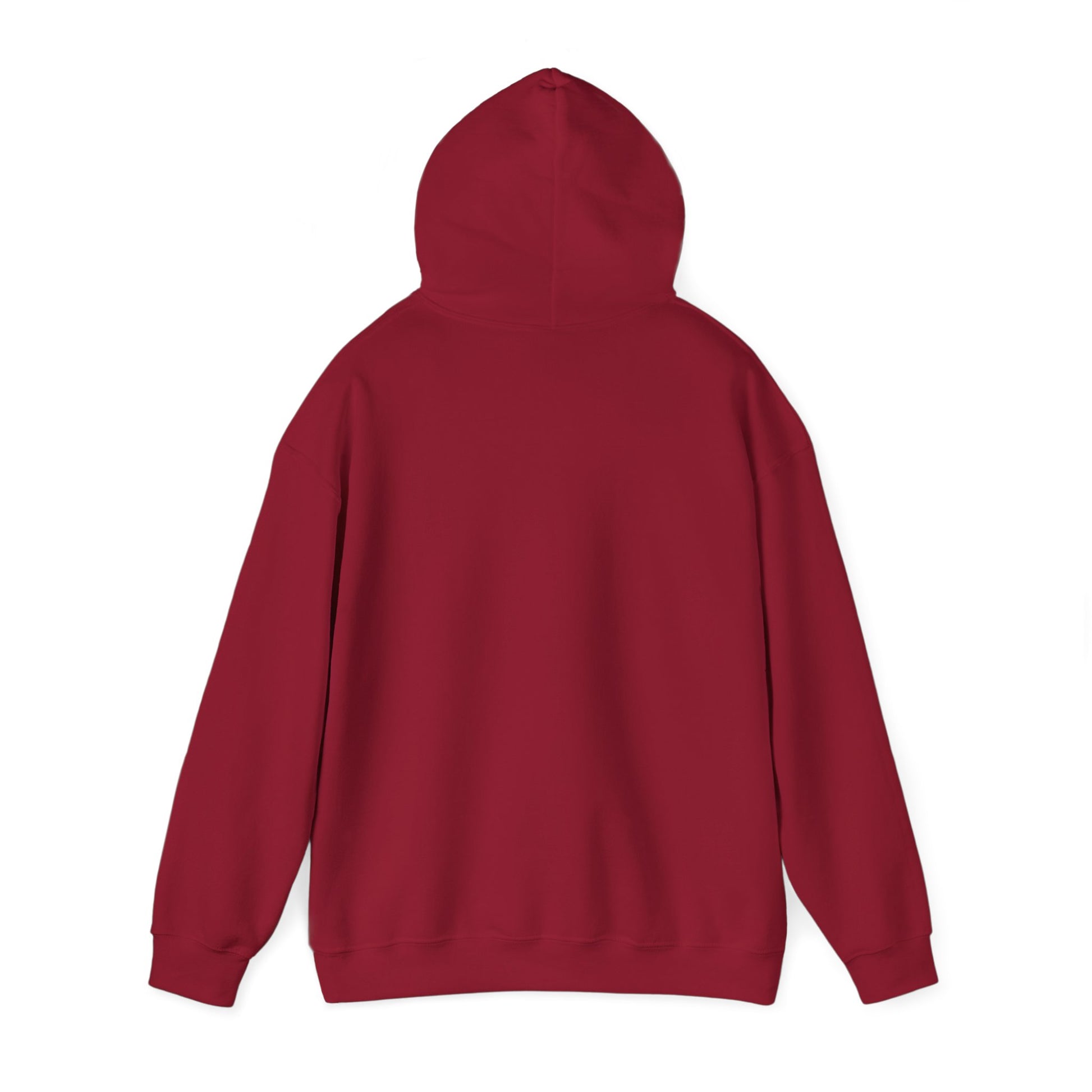 Hoodie - Democracy Is Not For Sale - Free Oppression