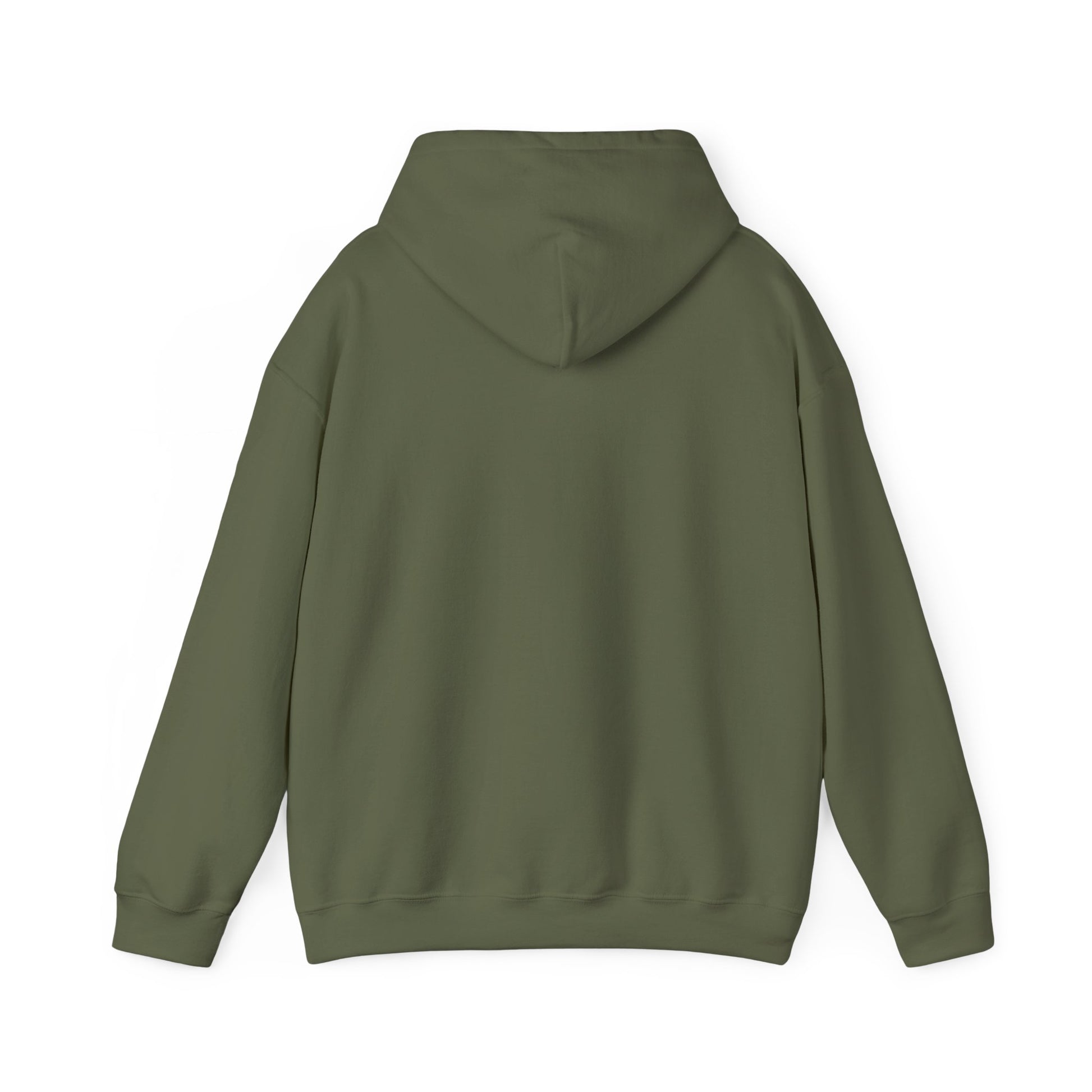 Anti-Oligarchy – Democracy Reform Hoodie