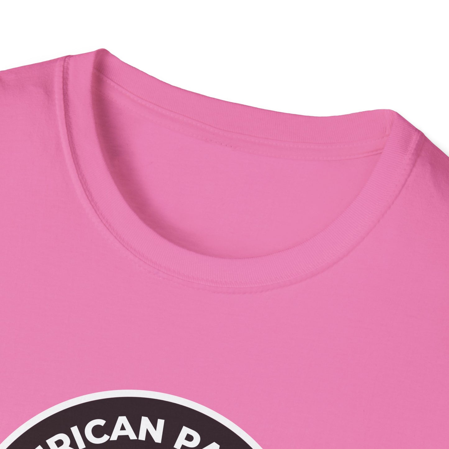 American Patriots Against Nazis - T-shirt