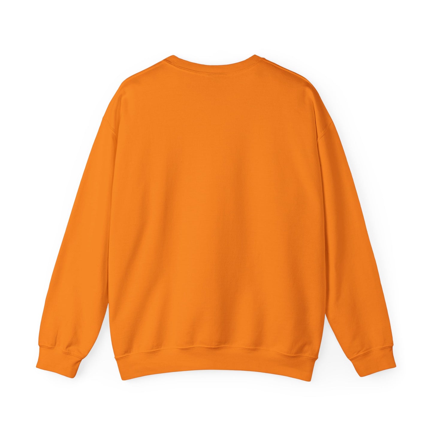 We The People – Pro-Democracy Empowerment Sweatshirt