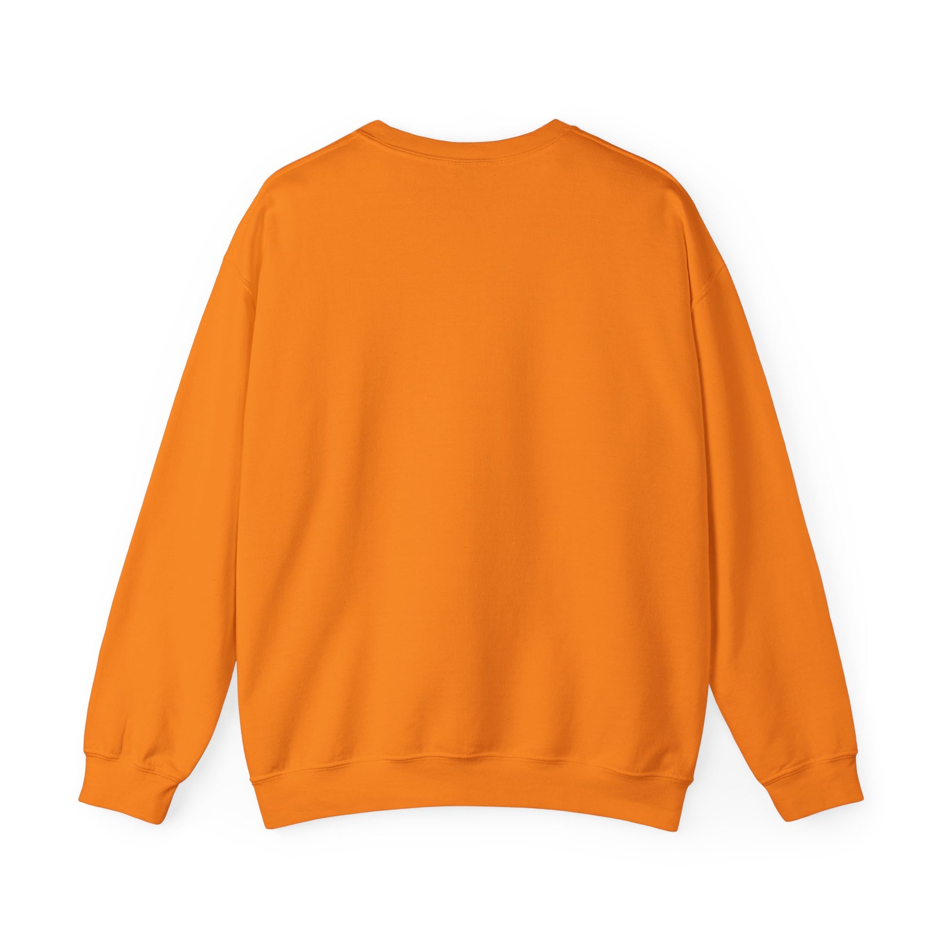 We The People – Pro-Democracy Empowerment Sweatshirt