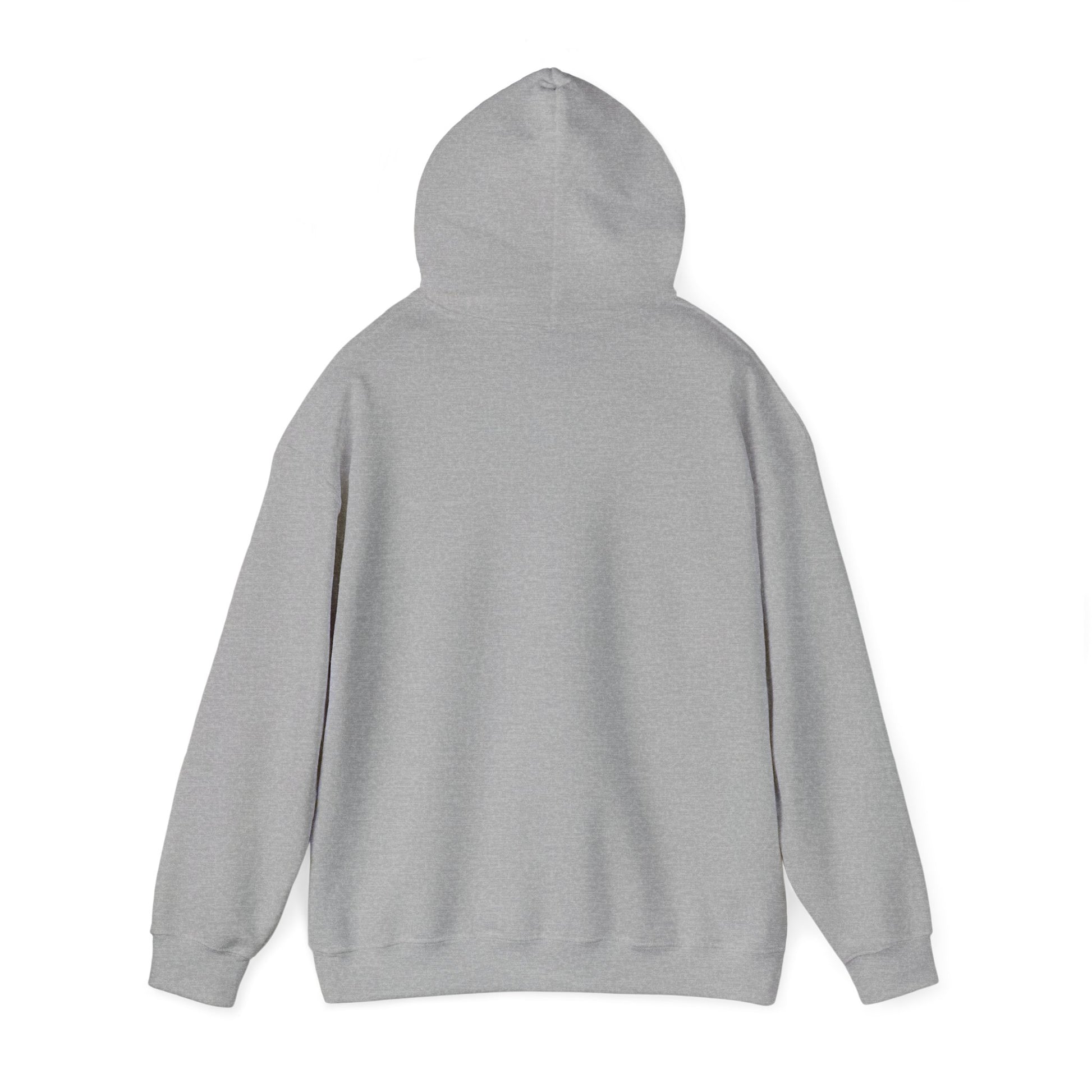 Hoodie - Democracy Is Not For Sale - Free Oppression