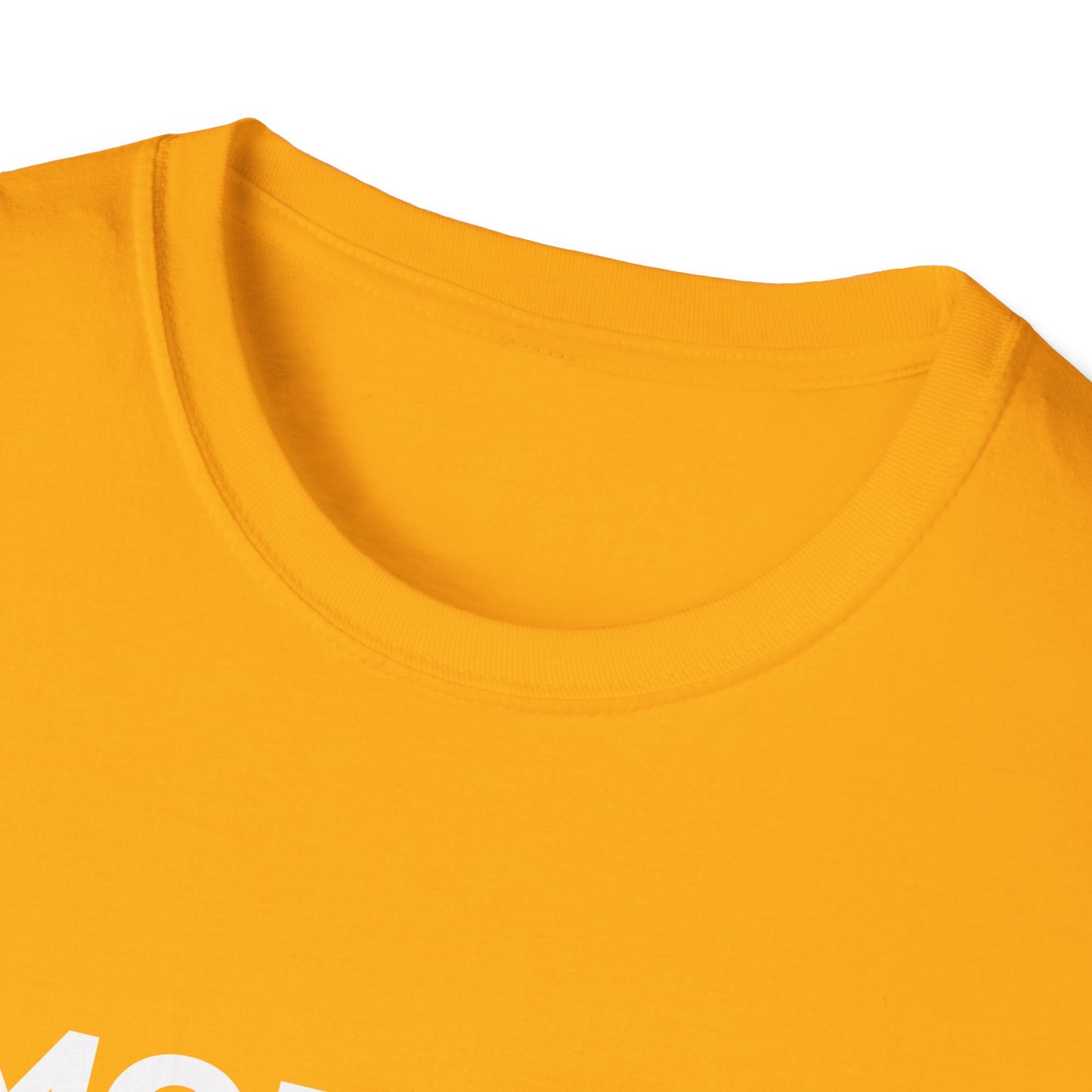Les idiots gouvernent l'Amérique - T-shirt