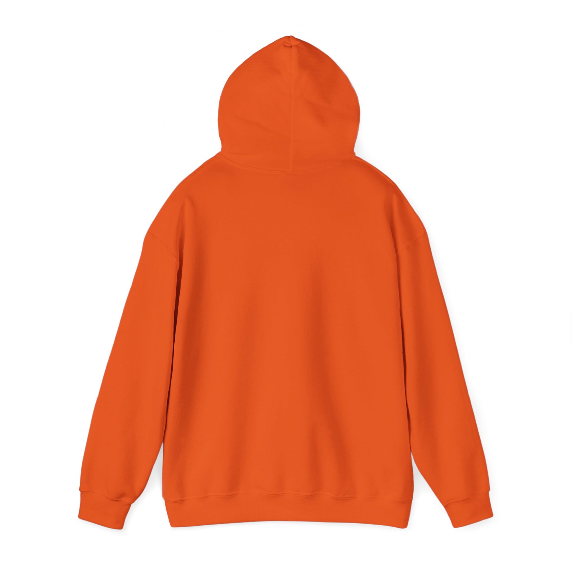 Hoodie - Democracy Is Not For Sale - Free Oppression