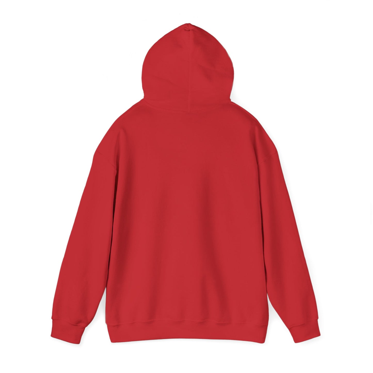FCK NZS – Anti Nazi Hoodie