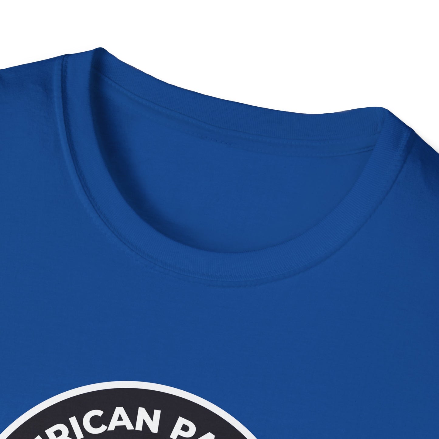American Patriots Against Nazis - T-shirt
