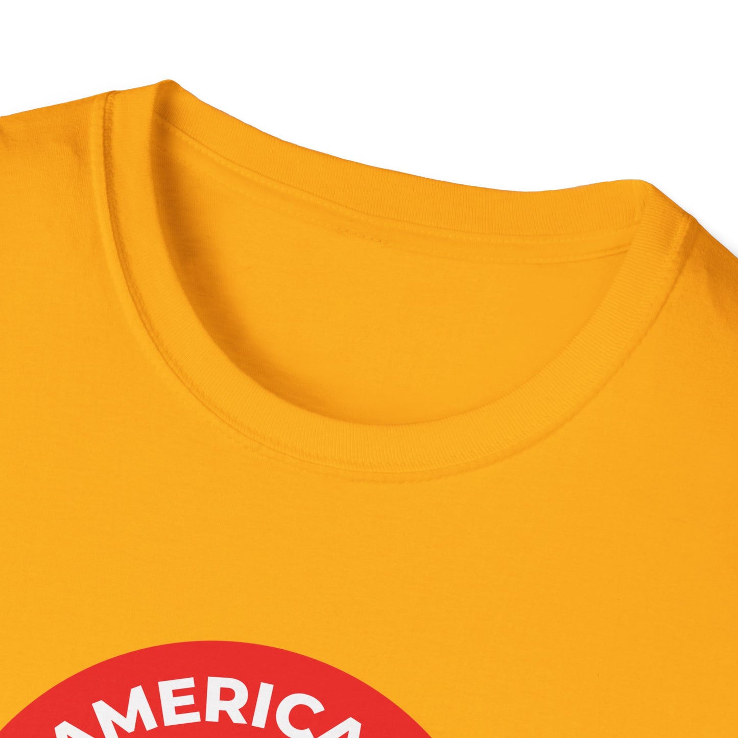 Americans Against Fascism – FDT Protest T-Shirt