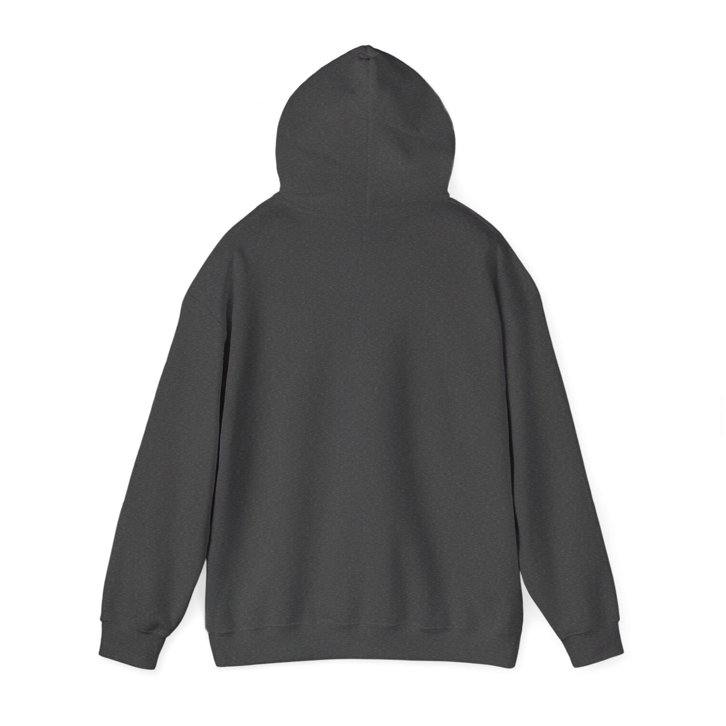 Anti-Oligarchy – Democracy Reform Hoodie