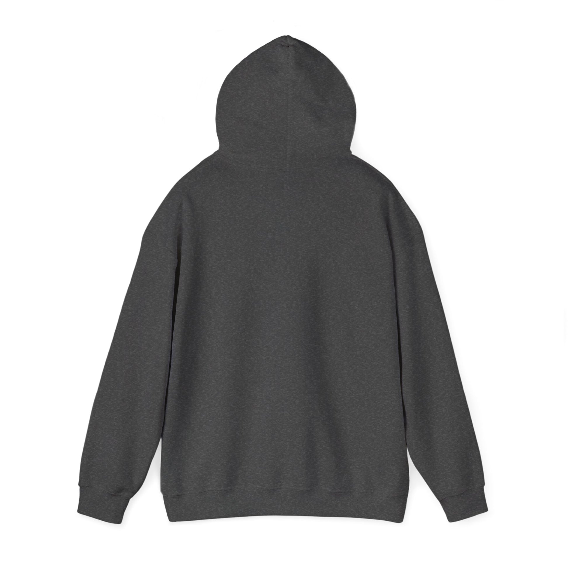 Anti-Oligarchy – Democracy Reform Hoodie
