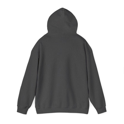 Anti-Oligarchy – Democracy Reform Hoodie