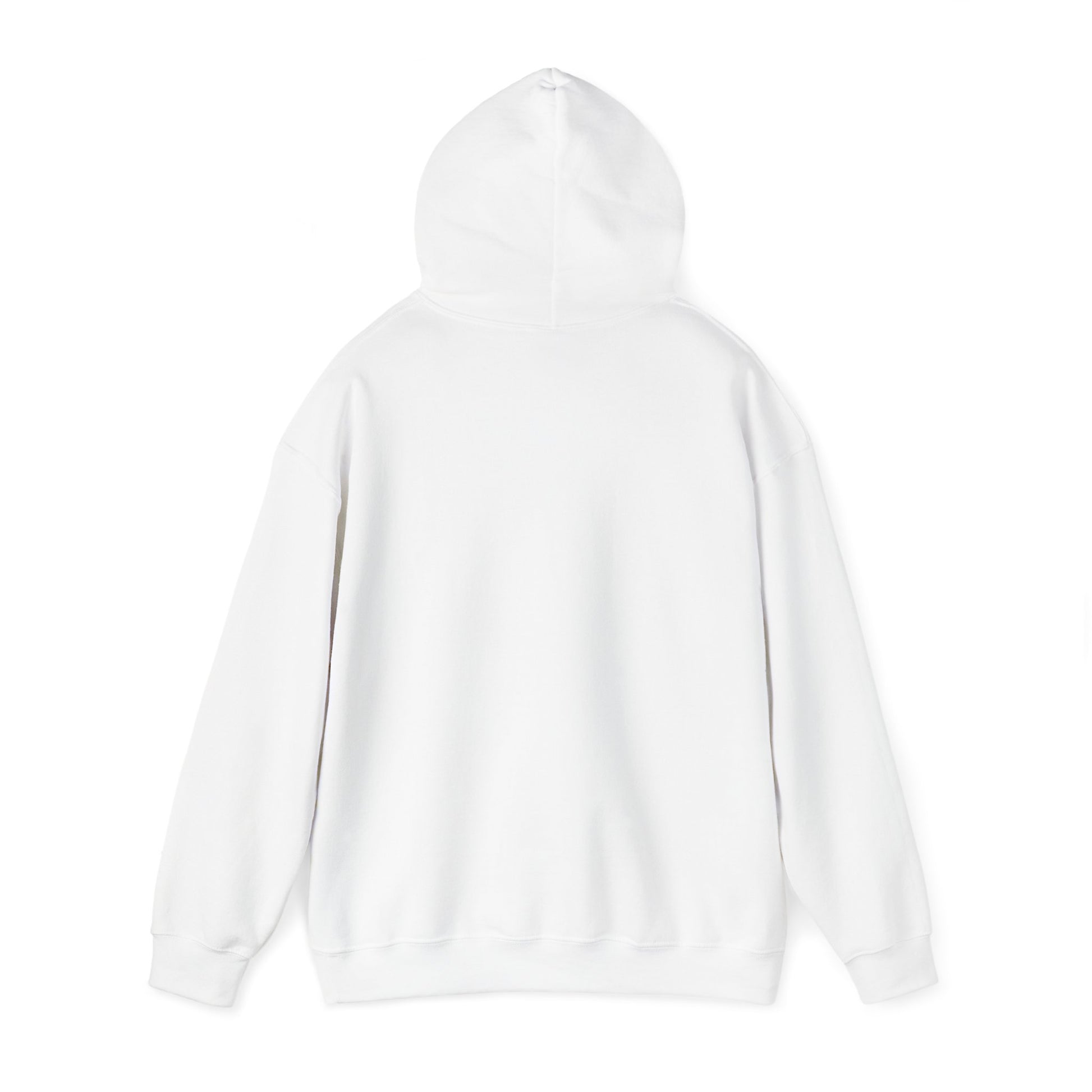 Hoodie - Democracy Is Not For Sale - Free Oppression