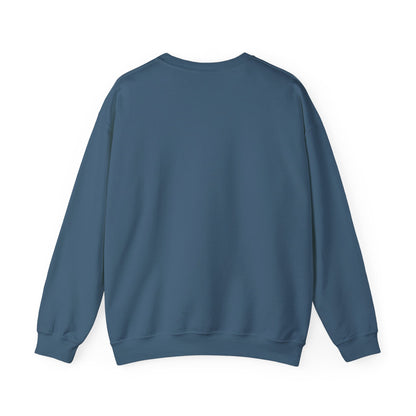 Foxtrot Delta Tango FDT Protest Code – Pro-Democracy Sweatshirt
