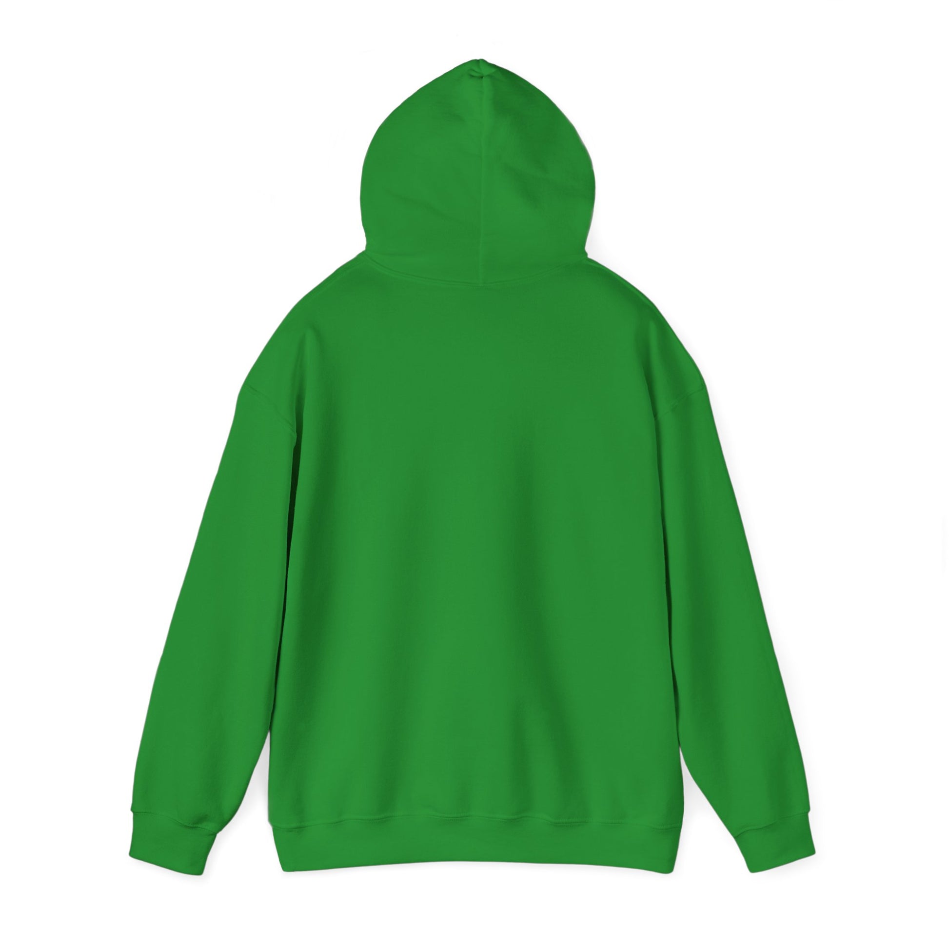 Hoodie - Democracy Is Not For Sale - Free Oppression