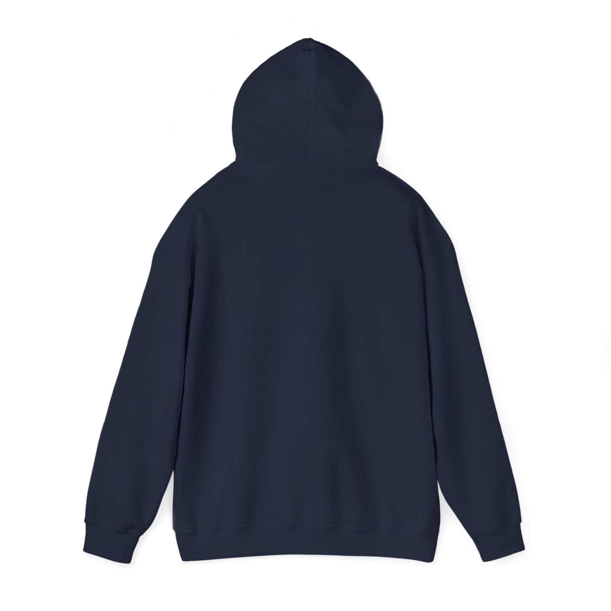 Oligarchs Out – Anti-Corruption Hoodie