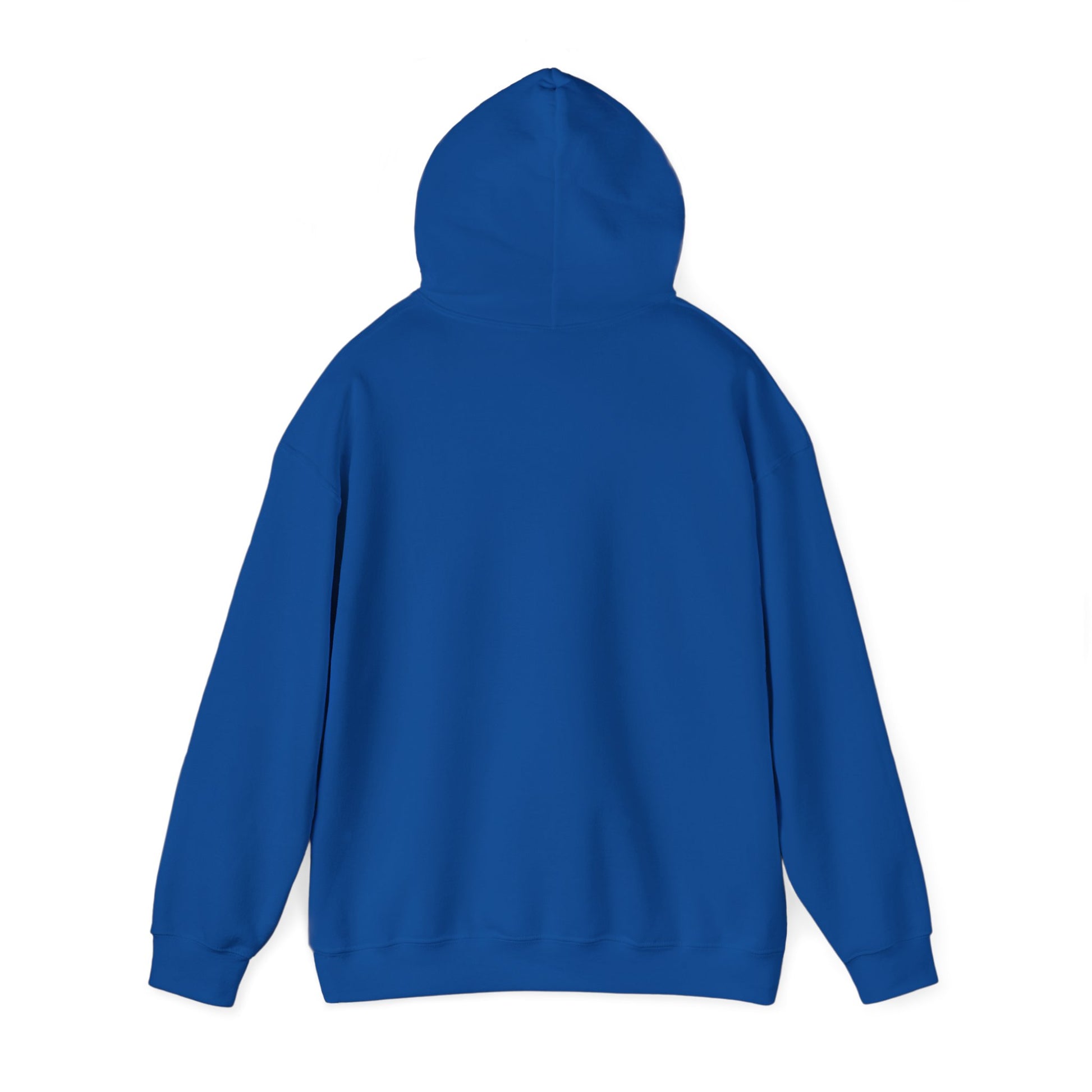 Hoodie - Democracy Is Not For Sale - Free Oppression