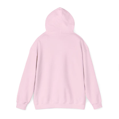 Anti-Oligarchy – Democracy Reform Hoodie