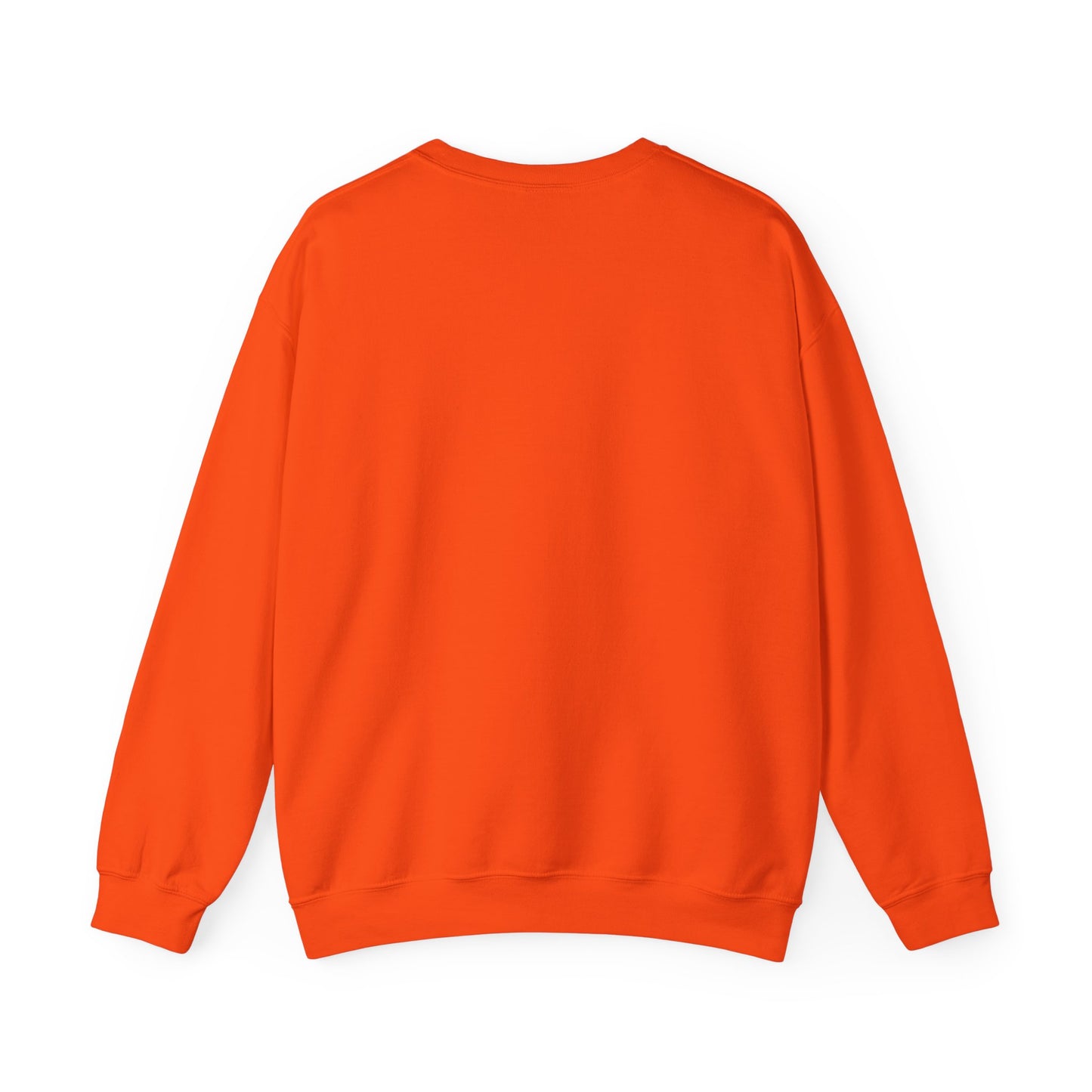 We The People – Pro-Democracy Empowerment Sweatshirt