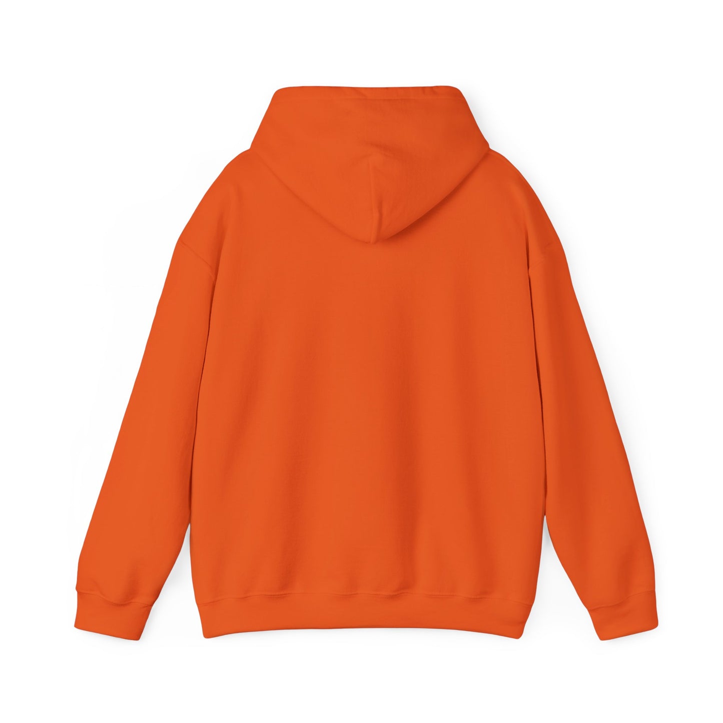 Anti-Oligarchy – Democracy Reform Hoodie