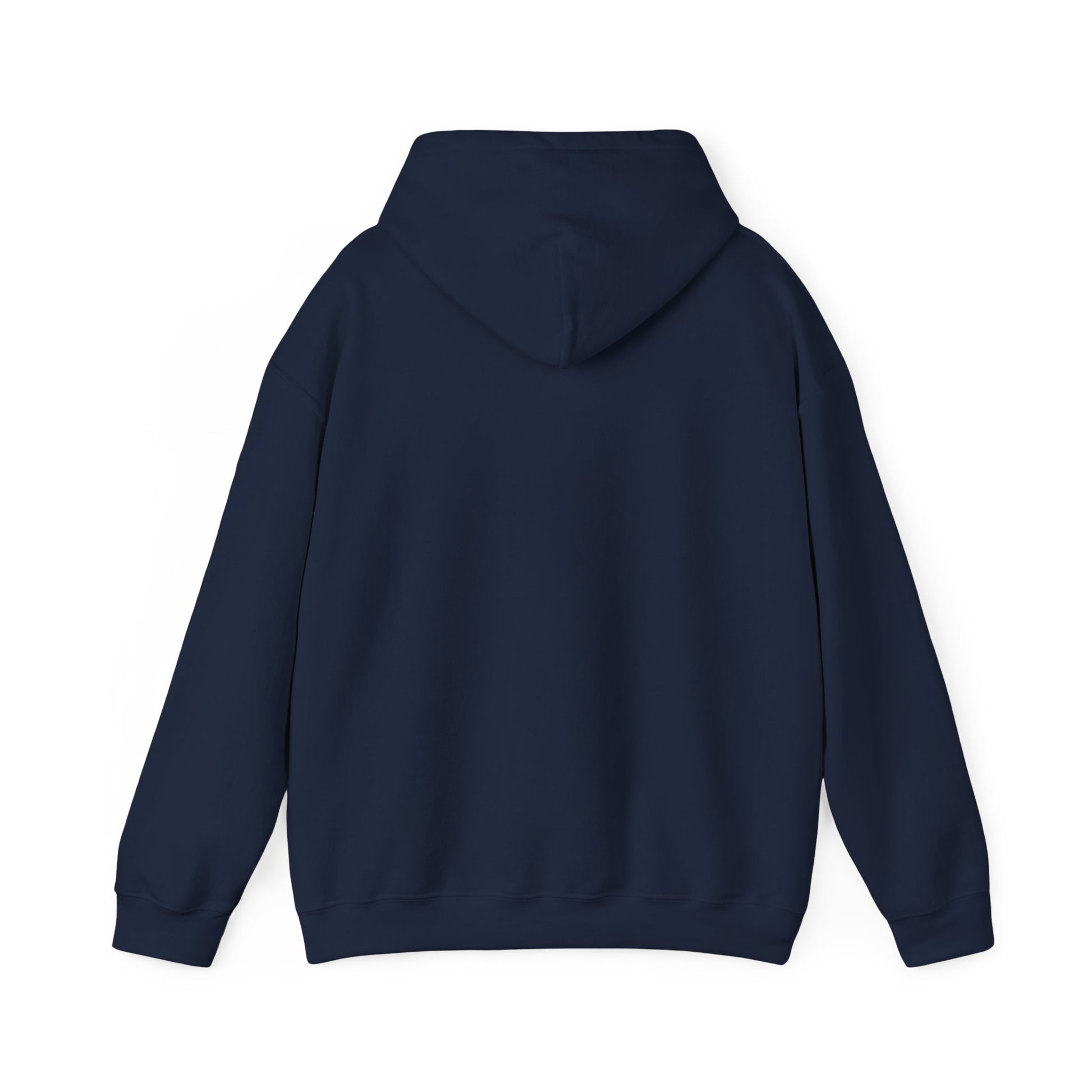 Oligarchs Out – Anti-Corruption Hoodie