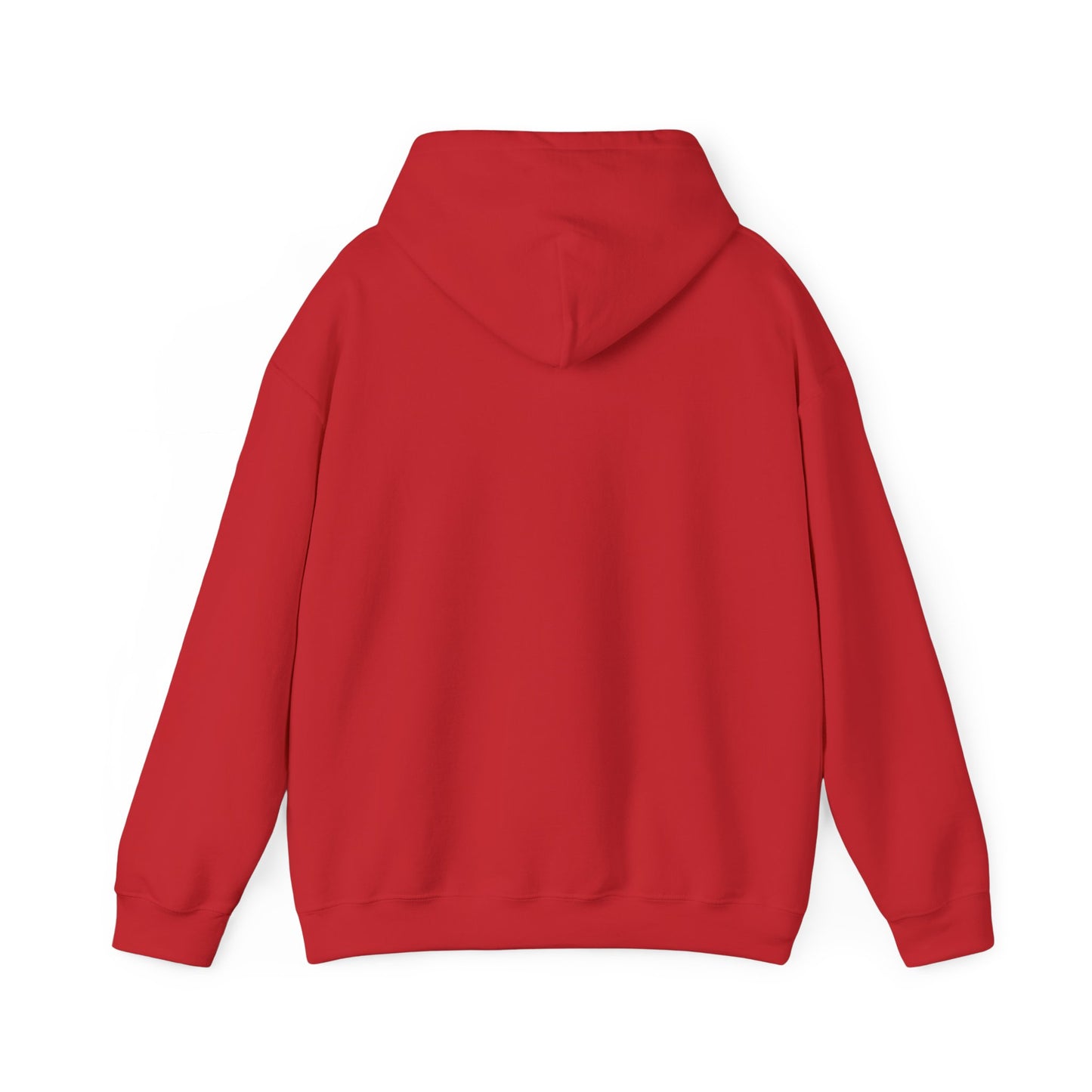 Anti-Oligarchy – Democracy Reform Hoodie