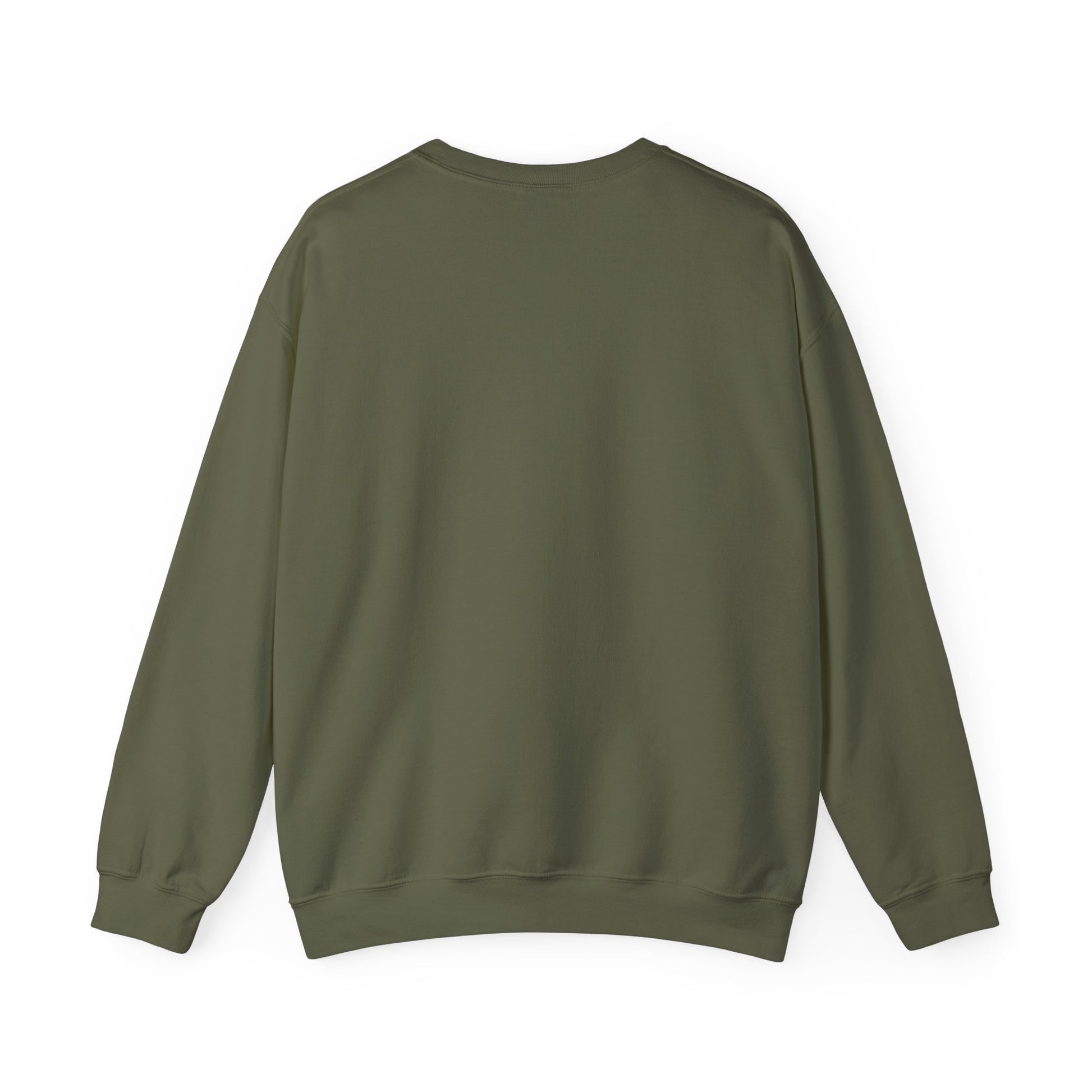 We The People – Pro-Democracy Empowerment Sweatshirt