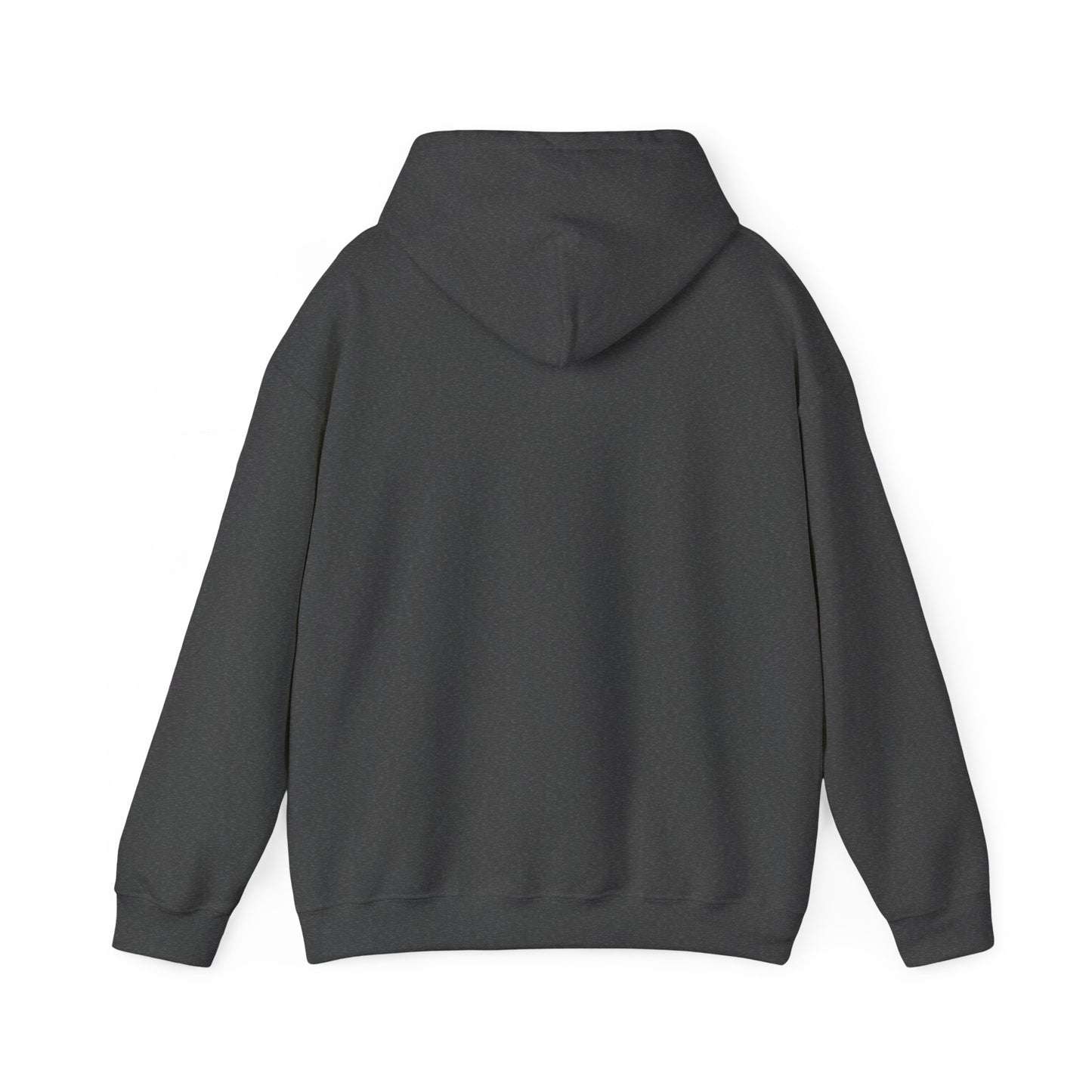 Anti-Oligarchy – Democracy Reform Hoodie