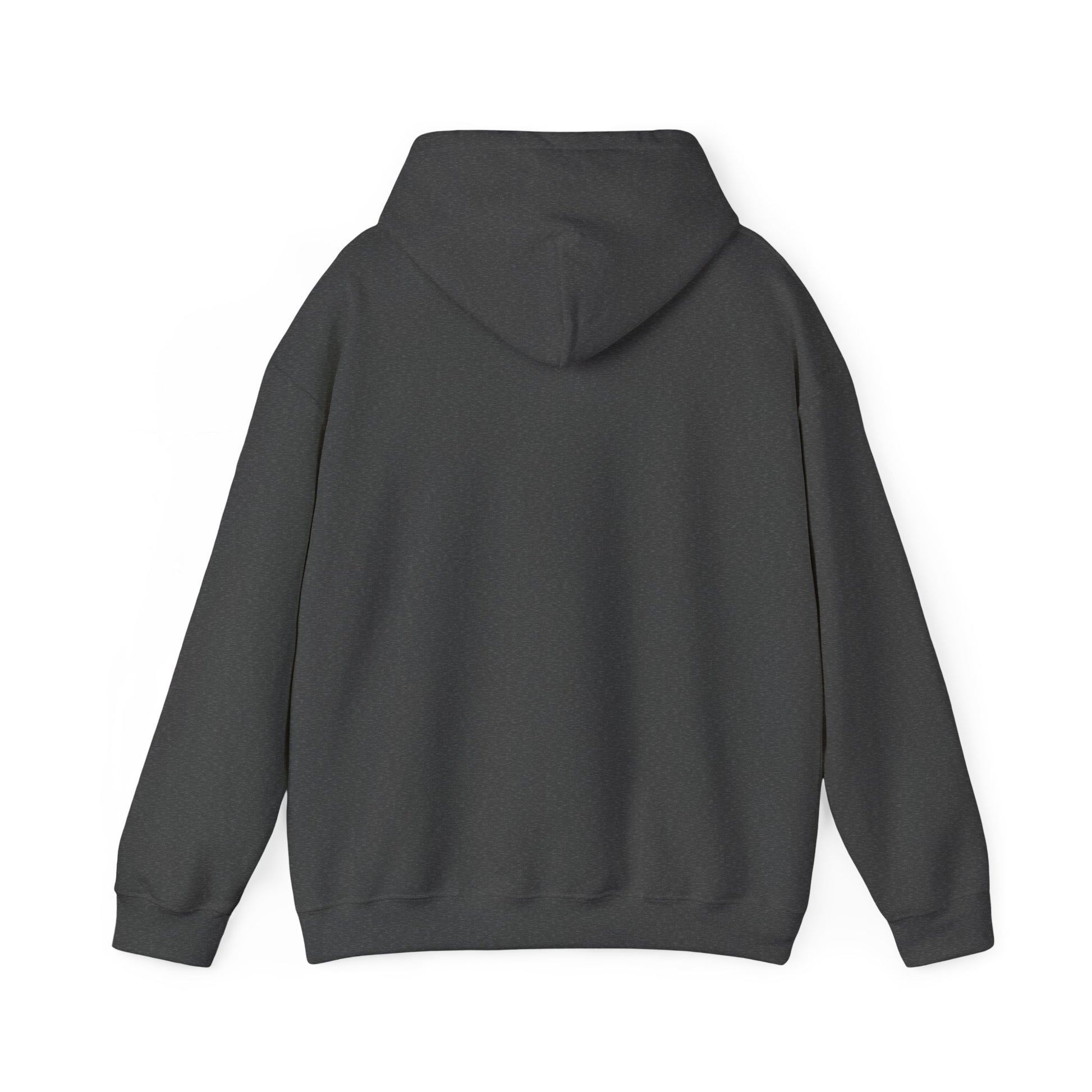Anti-Oligarchy – Democracy Reform Hoodie