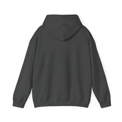 Anti-Oligarchy – Democracy Reform Hoodie