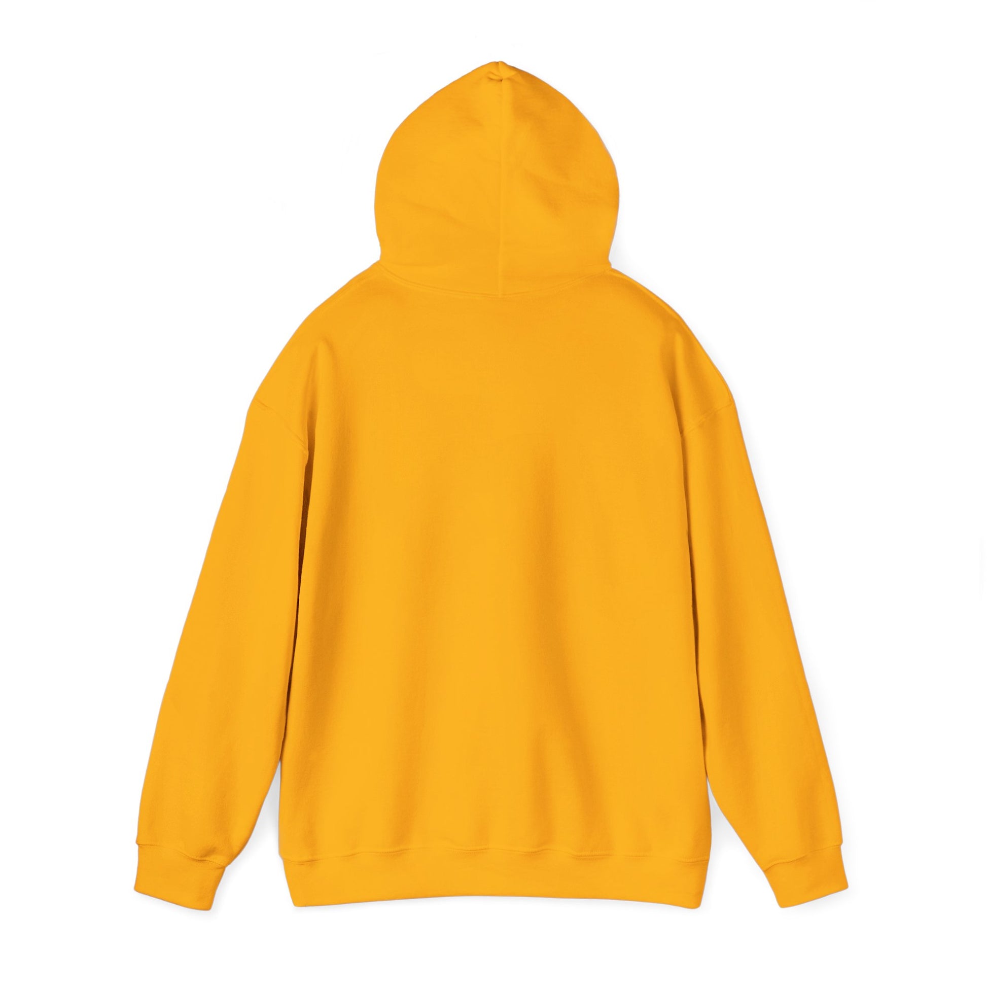 Anti-Oligarchy – Democracy Reform Hoodie