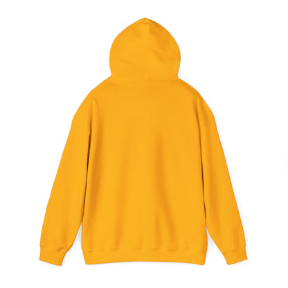 Anti-Oligarchy – Democracy Reform Hoodie